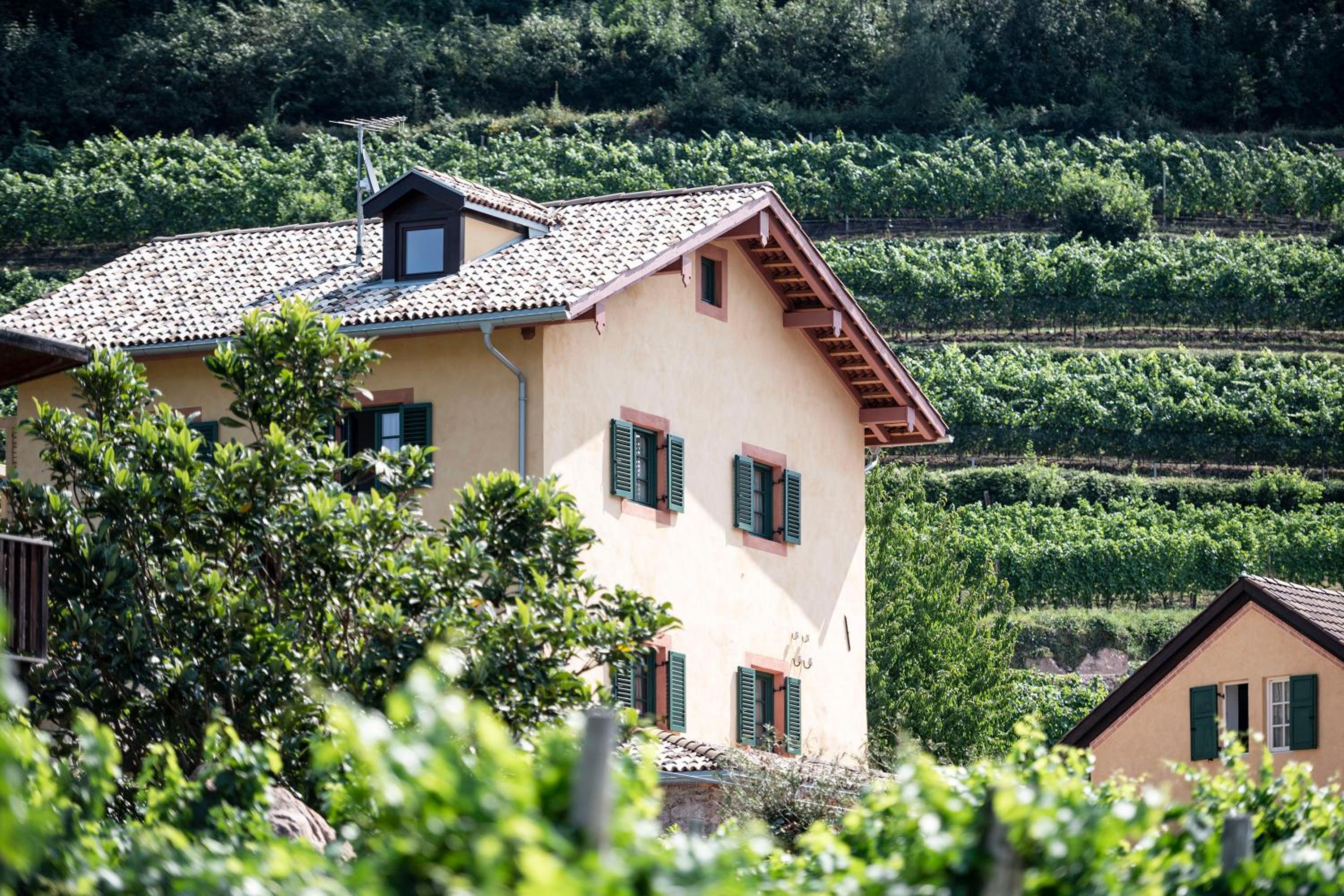 Weingut Kornell - Schafferhaus Cosmas und Zeder view 3
