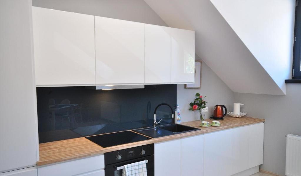 Apartament nad Kamienną view 3