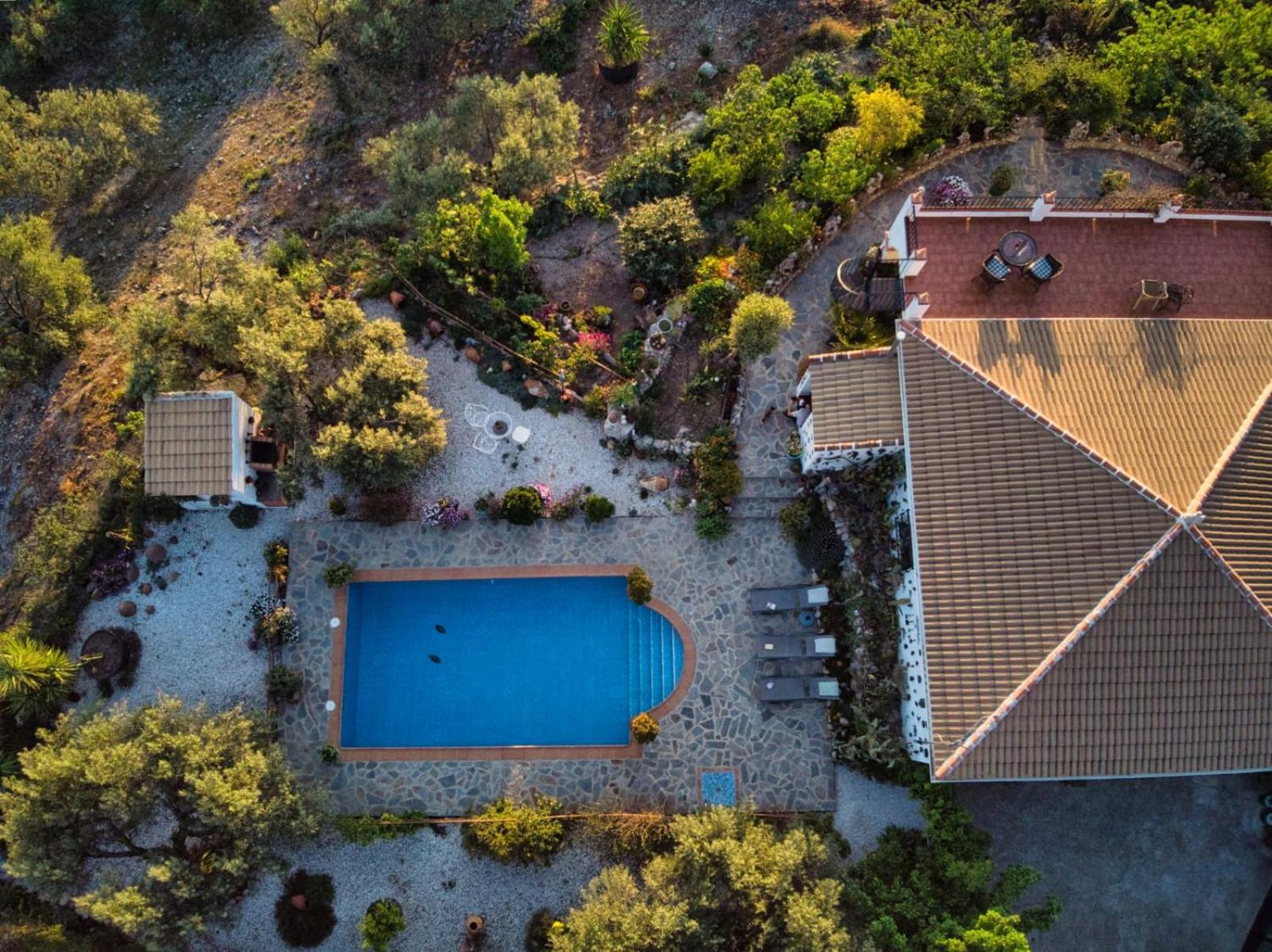 LOS CACTUS view 5