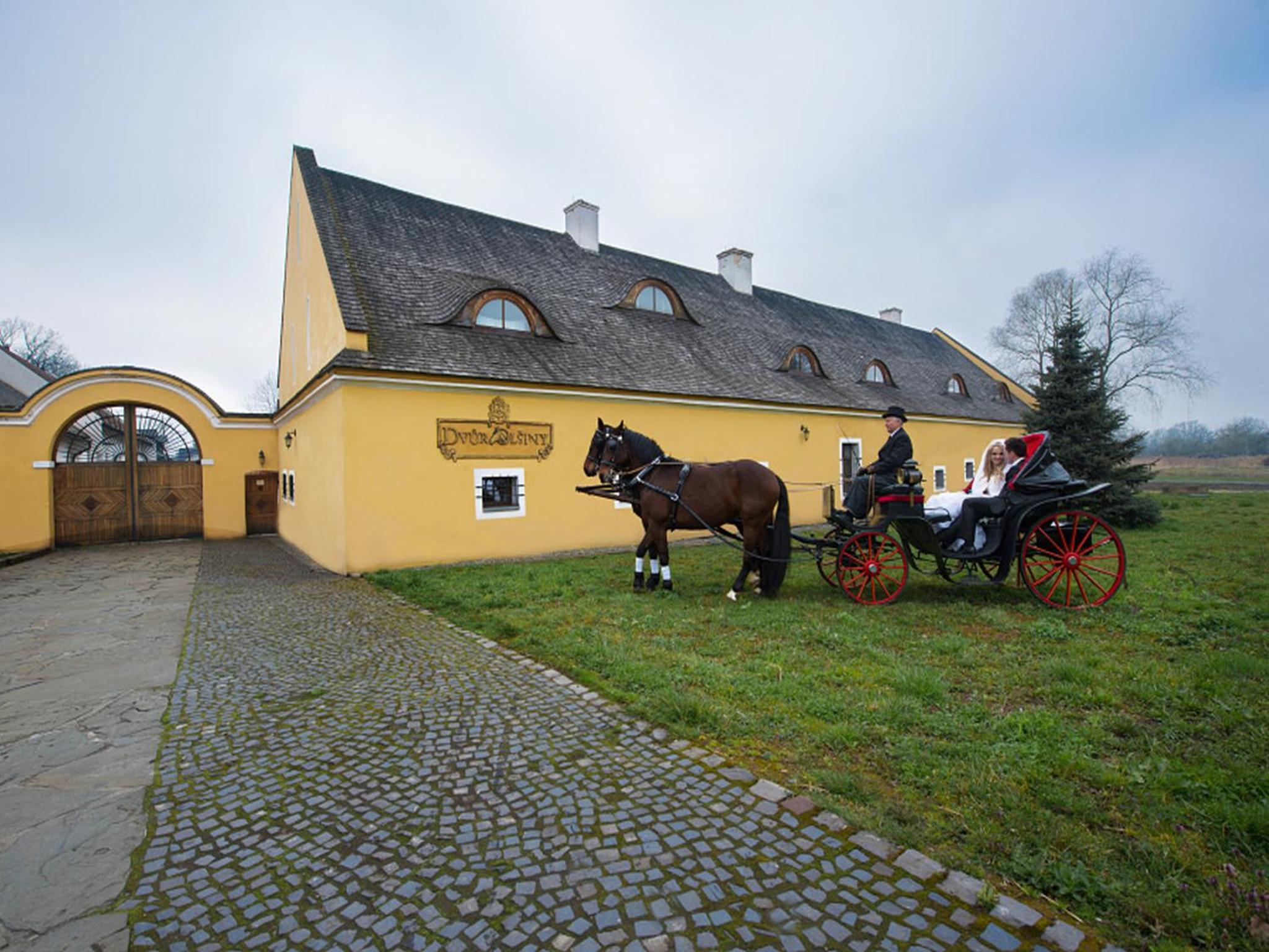 Hotel Dvůr Olšiny -Hotel and Horse-riding - Image 1