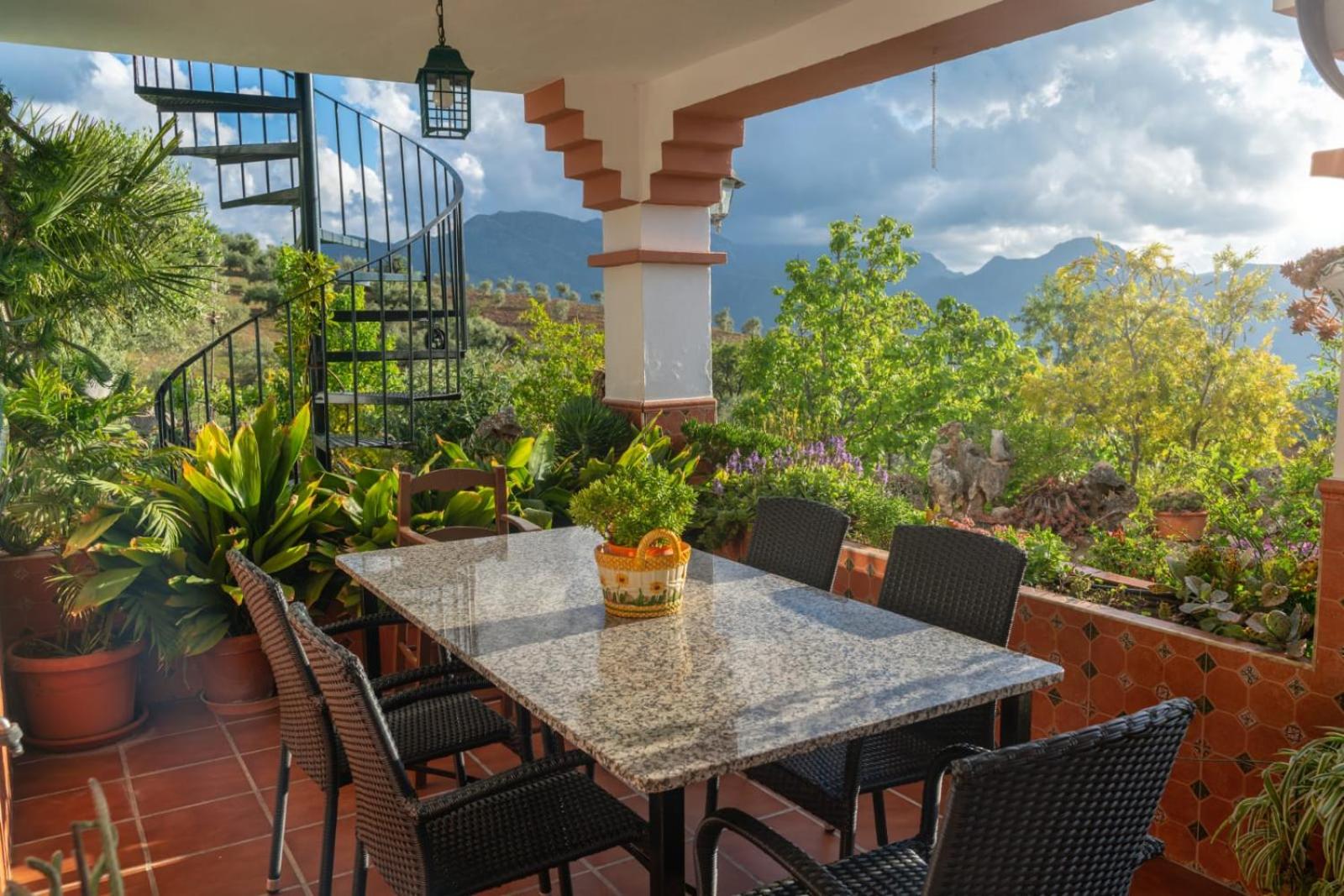LOS CACTUS view 3