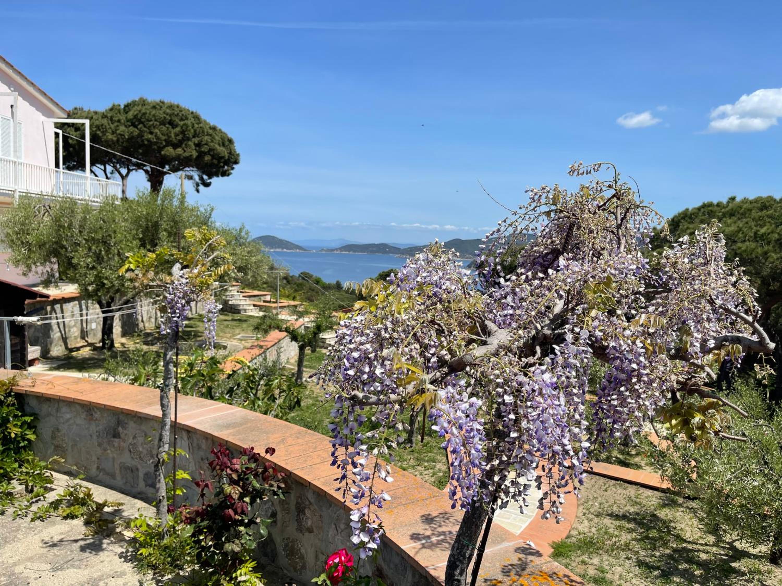 Villa Il Roseto Redinoce photo 2