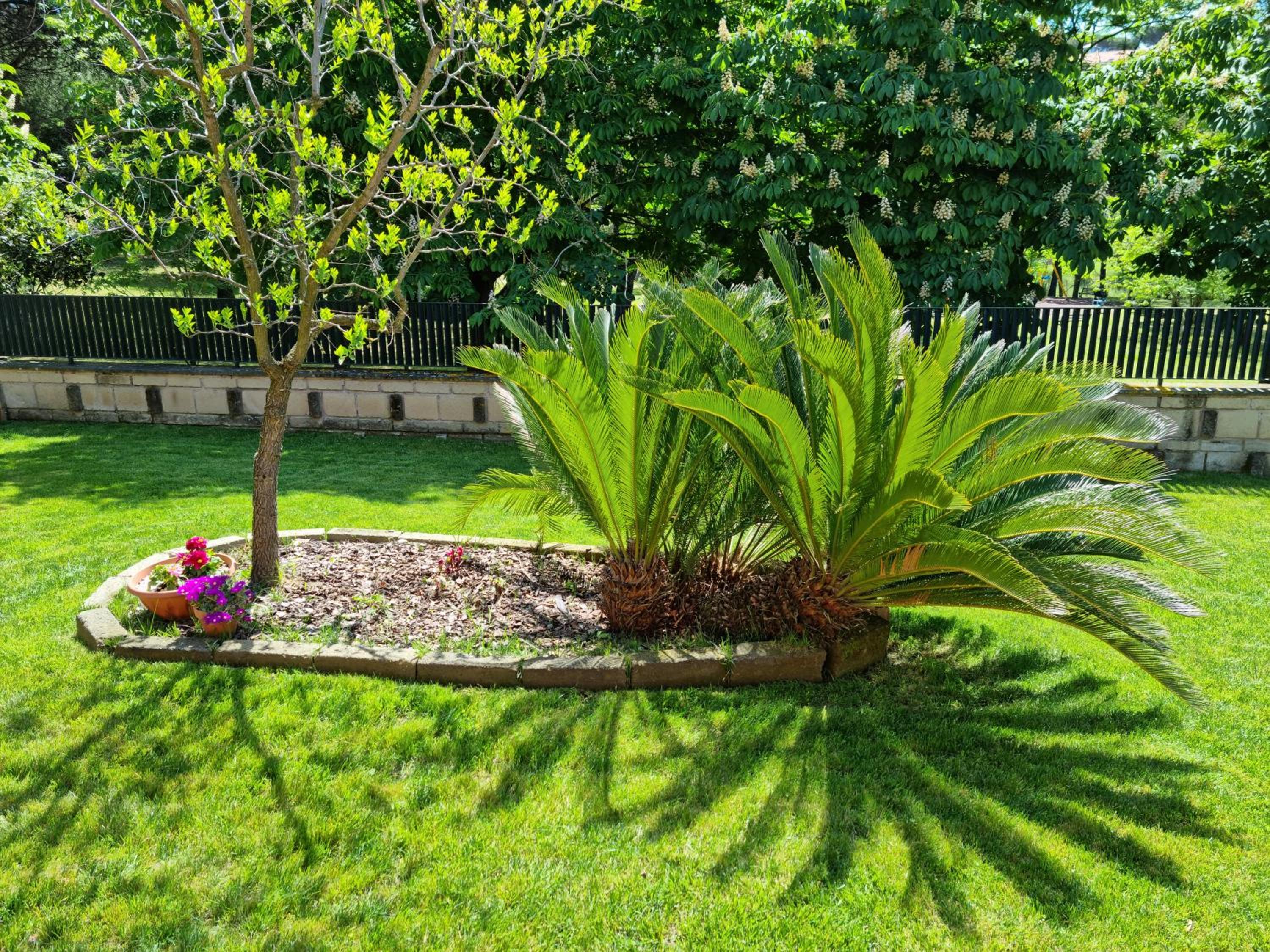 Il Casale nel Parco Guesthouse