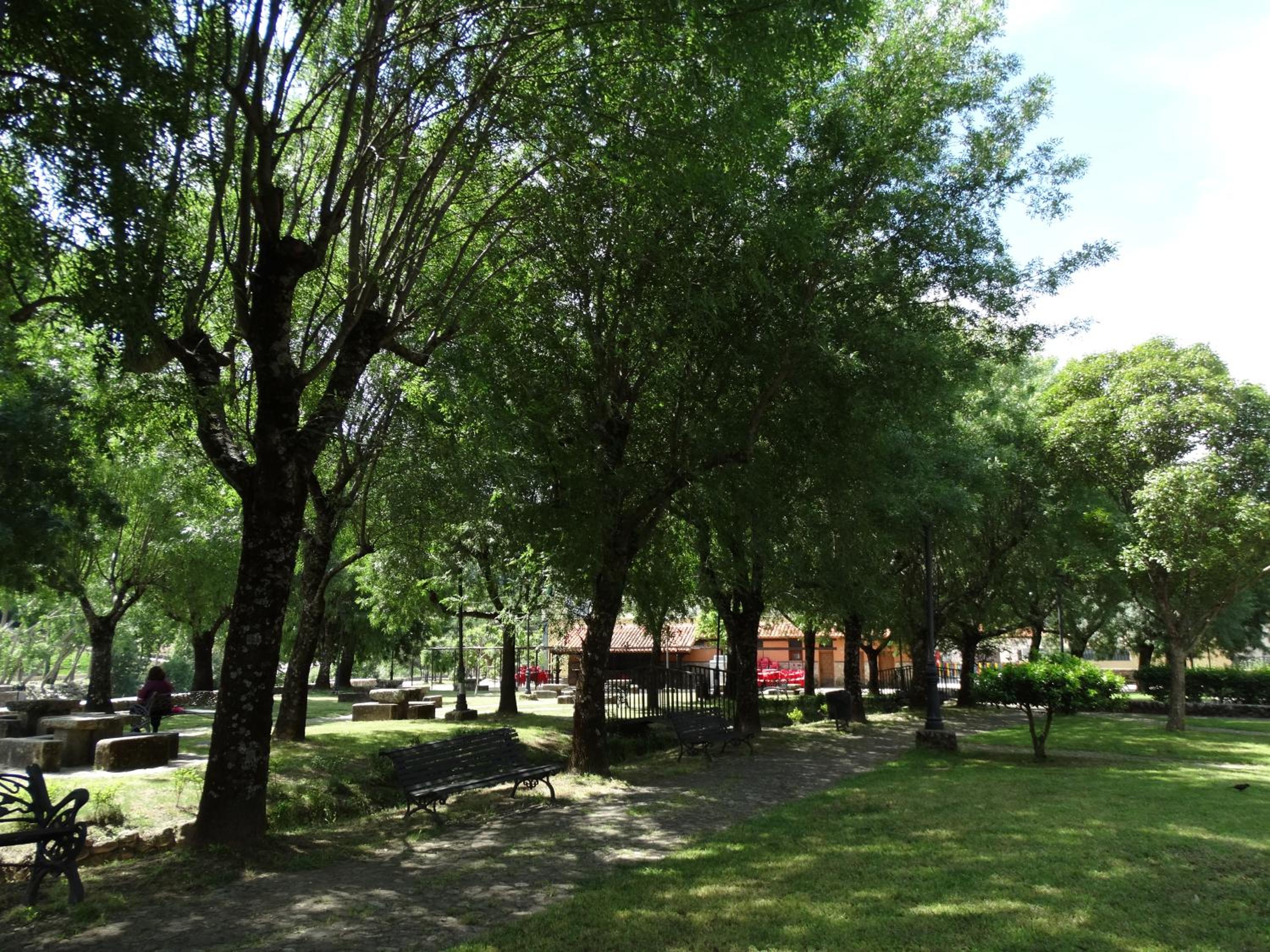 Photo 7