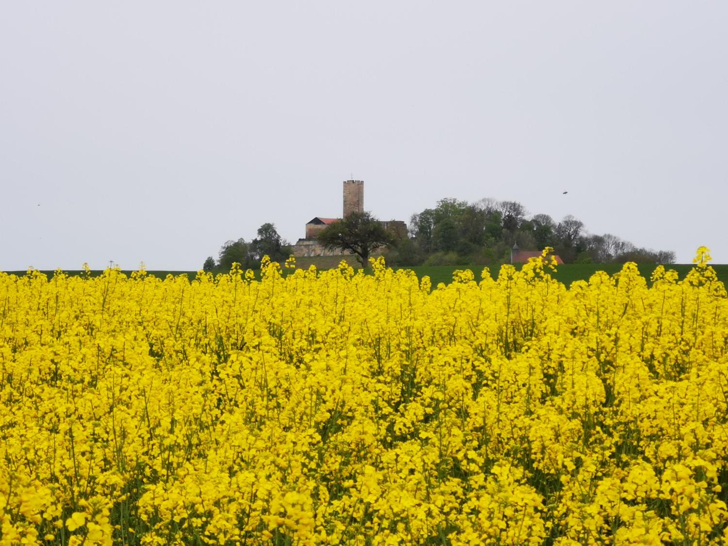 Im Herzen des Kraichgaus 1