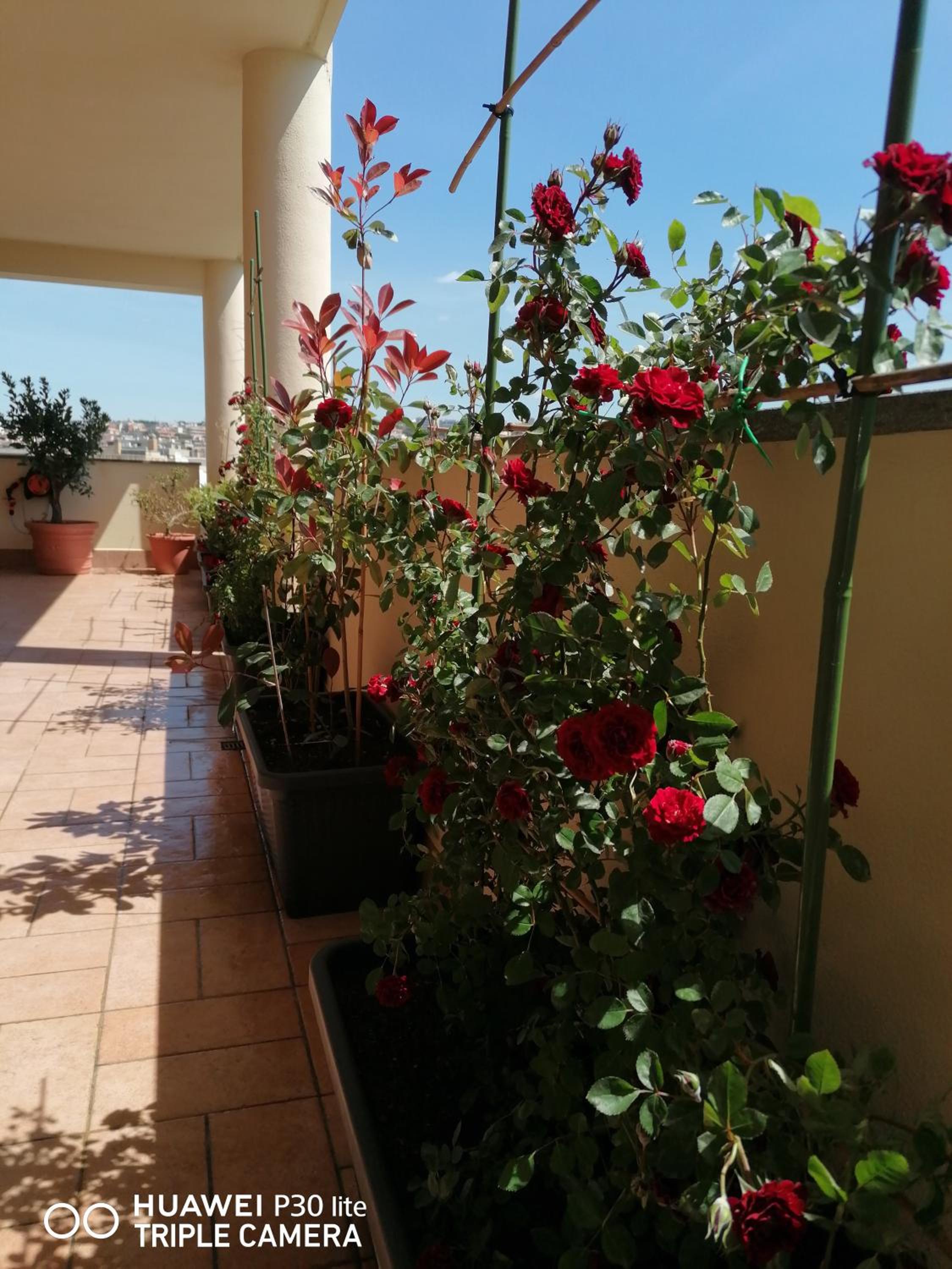 Photo 46