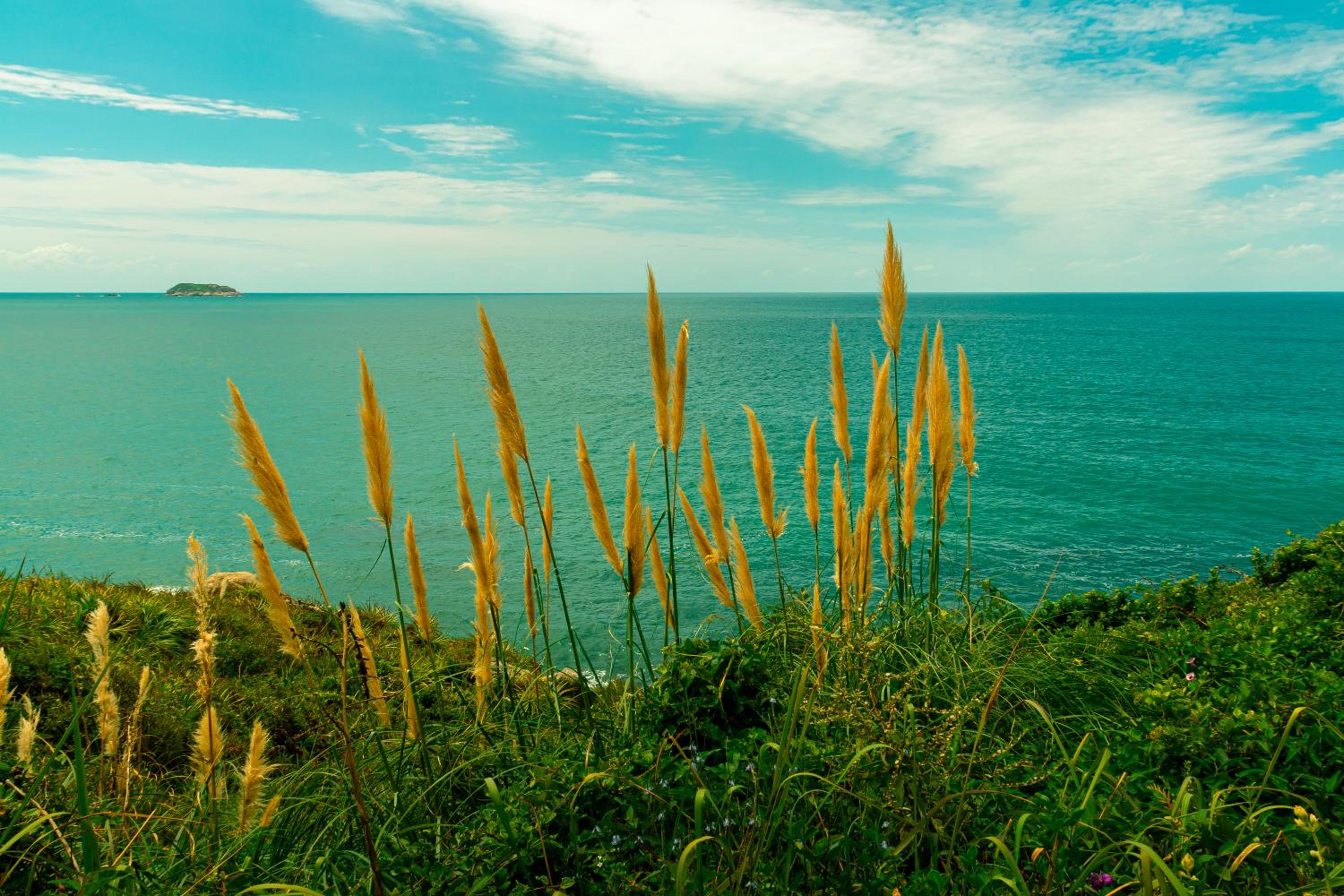 Apto jeito de casa entre mar e montanha AR