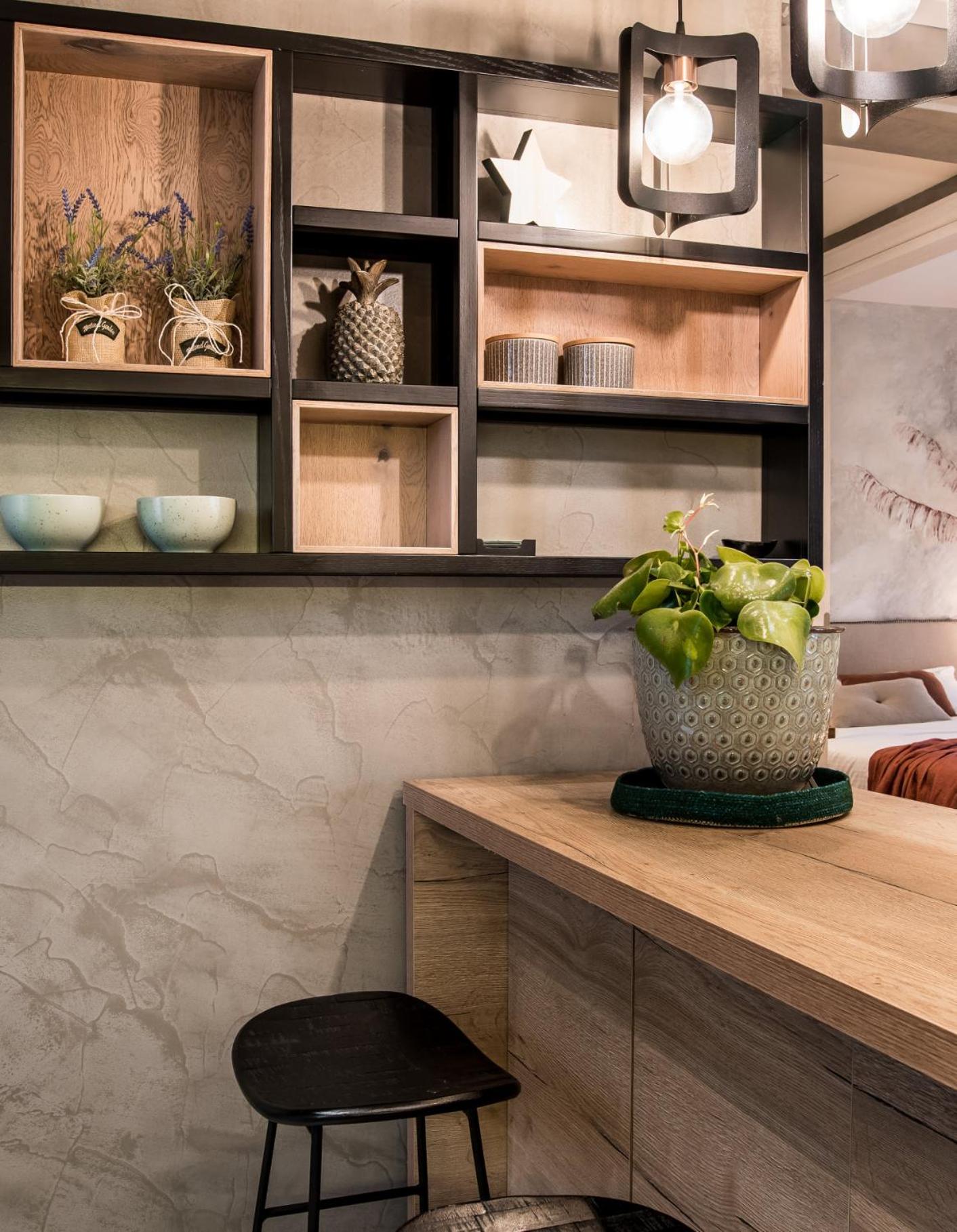 Tree Olive Athens photo 5