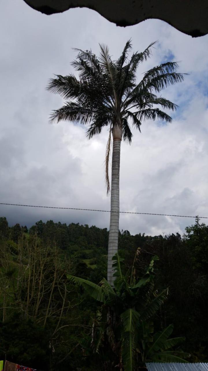 Hospedaje Rincón Mágico de Salento