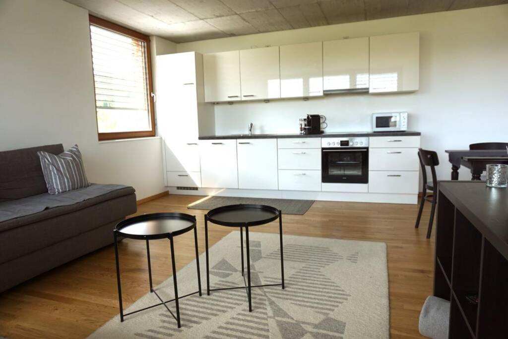 Terrassenwohnung in prämierter Wohnanlage Nachhaltige Kühlung über Erdsonde und Fussbodenkühlung
