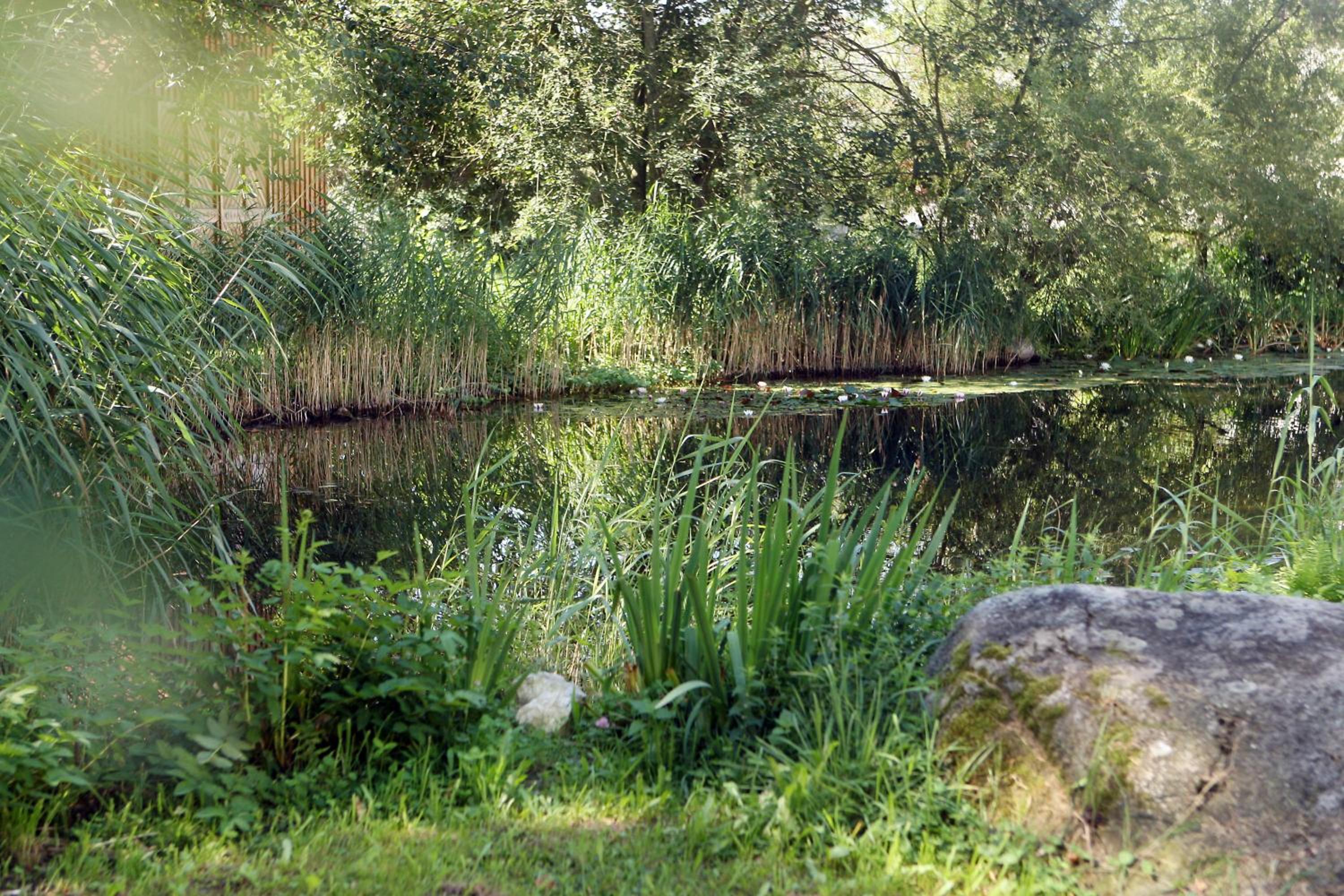 Perbersdorfer Heuriger