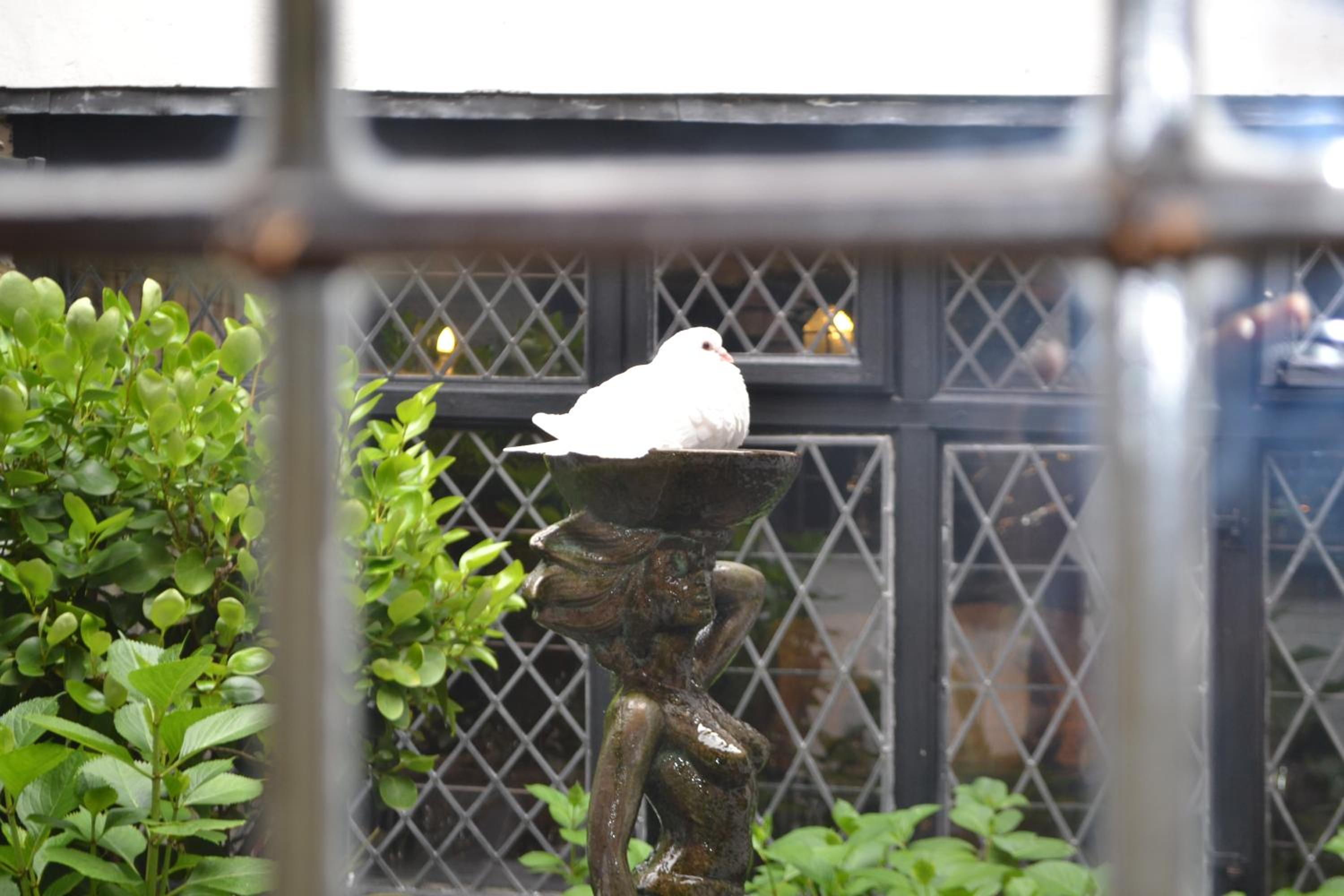 The Mermaid Inn 84
