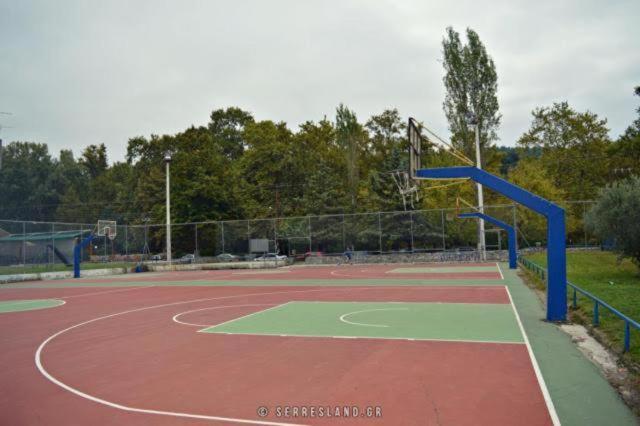 Photo 51
