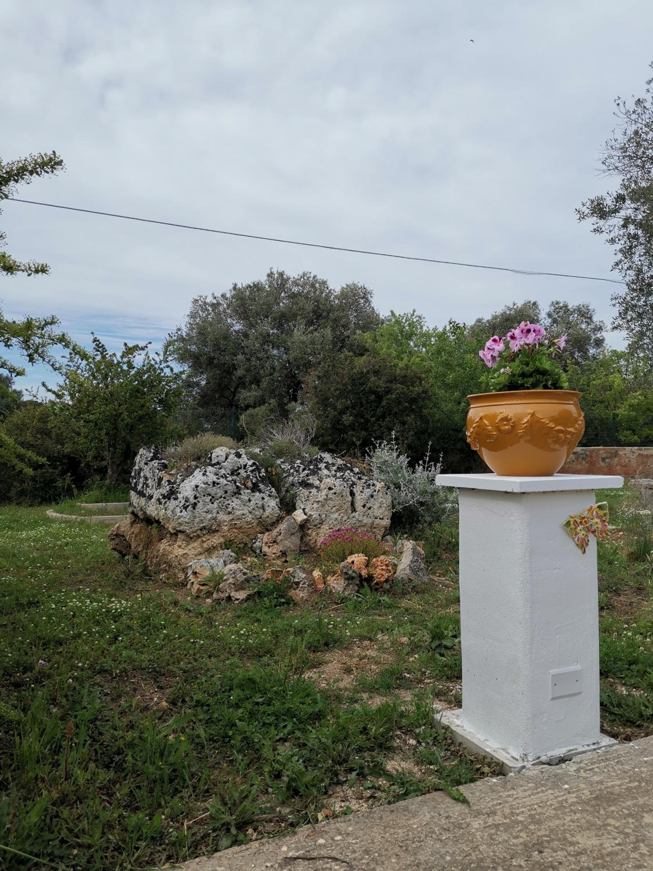 Photo 36