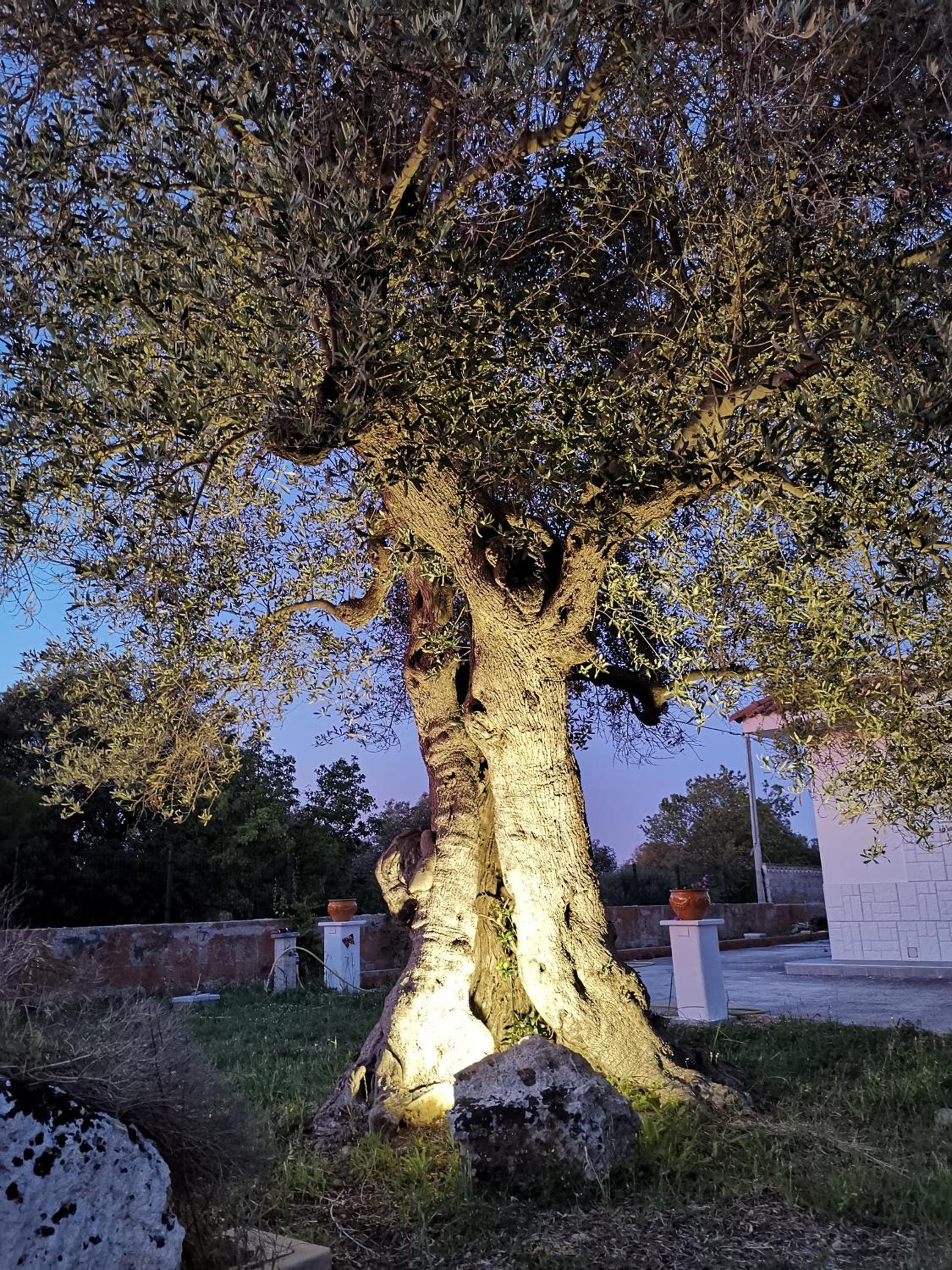 Photo 47