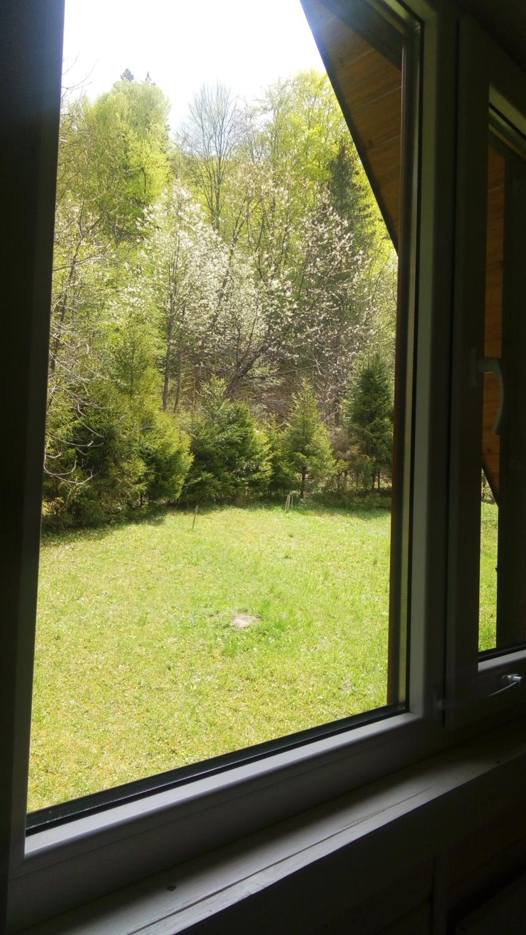 Photo 32