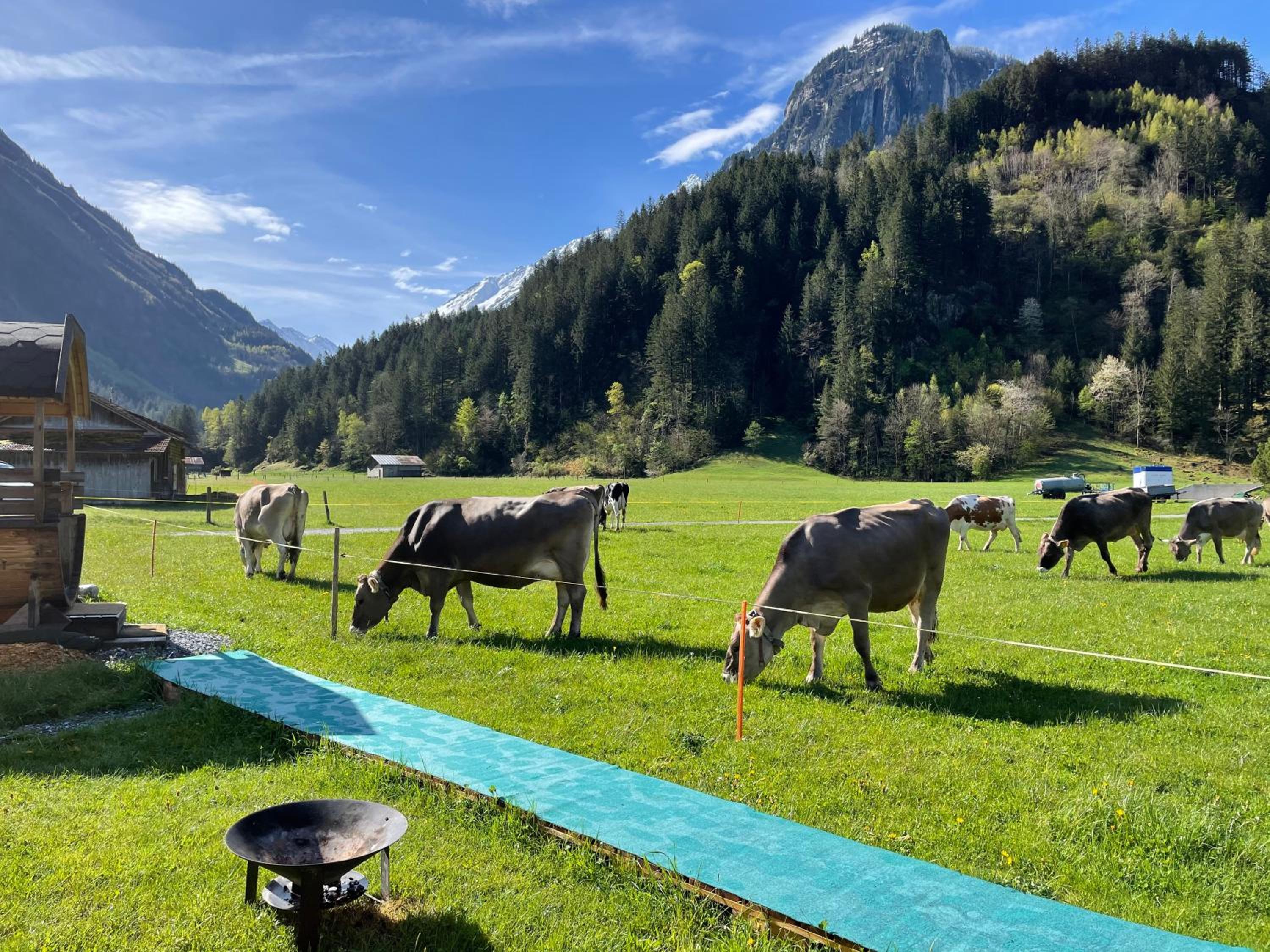 Schlafen im Fass - Schlaffass - Abenteuer - Romantik - Haslifass