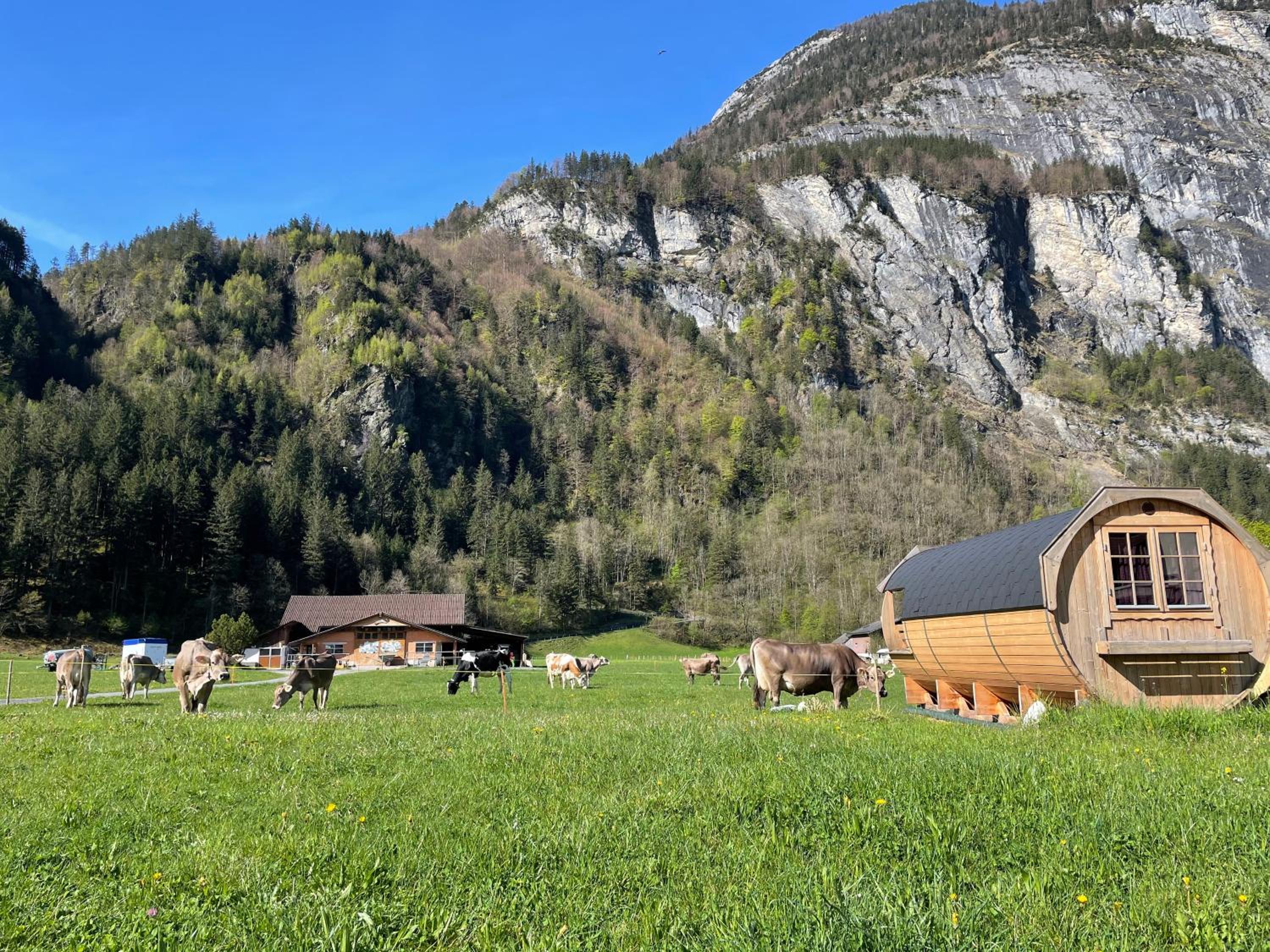 Schlafen im Fass - Schlaffass - Abenteuer - Romantik - Haslifass