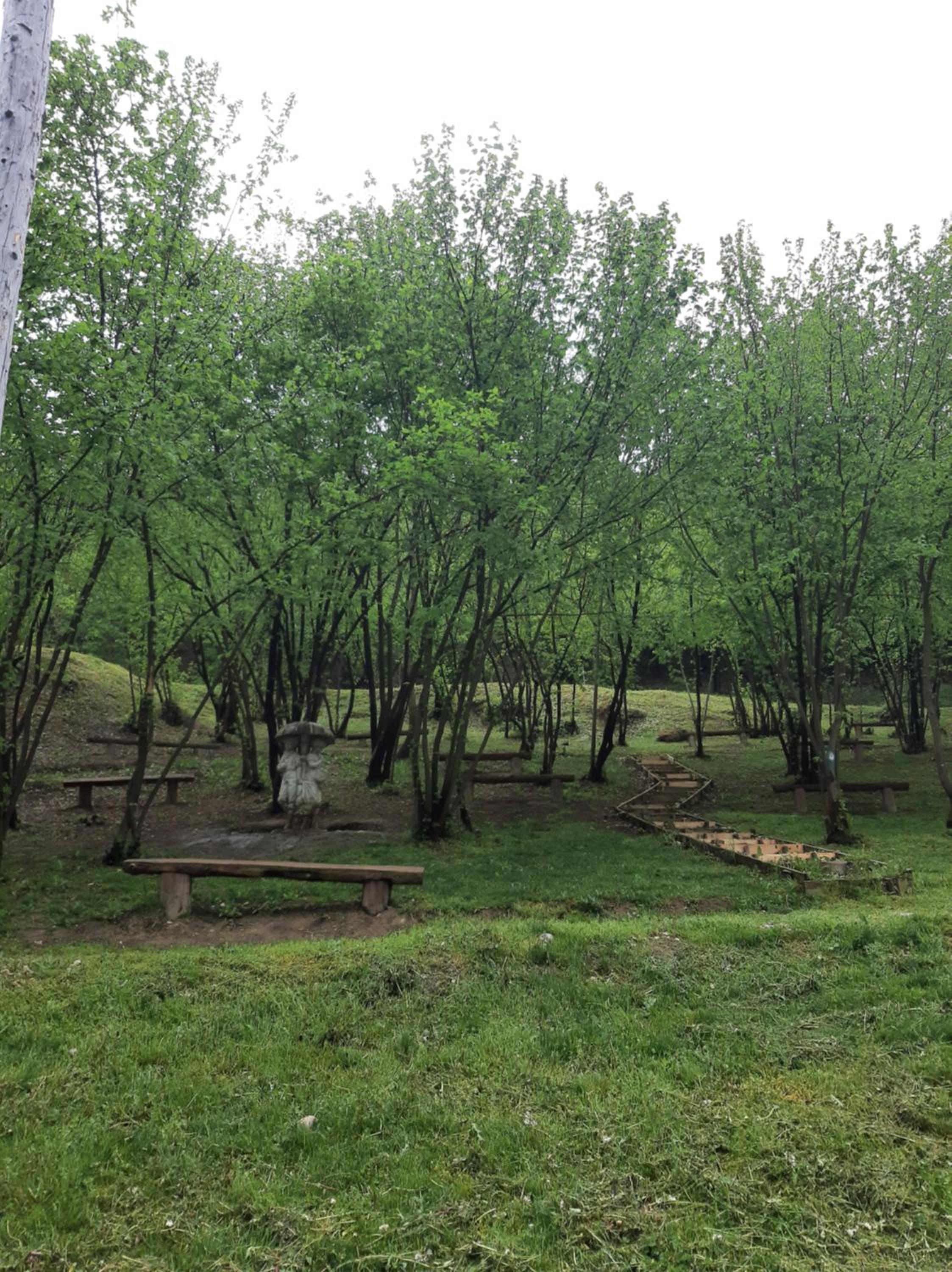 Photo 49