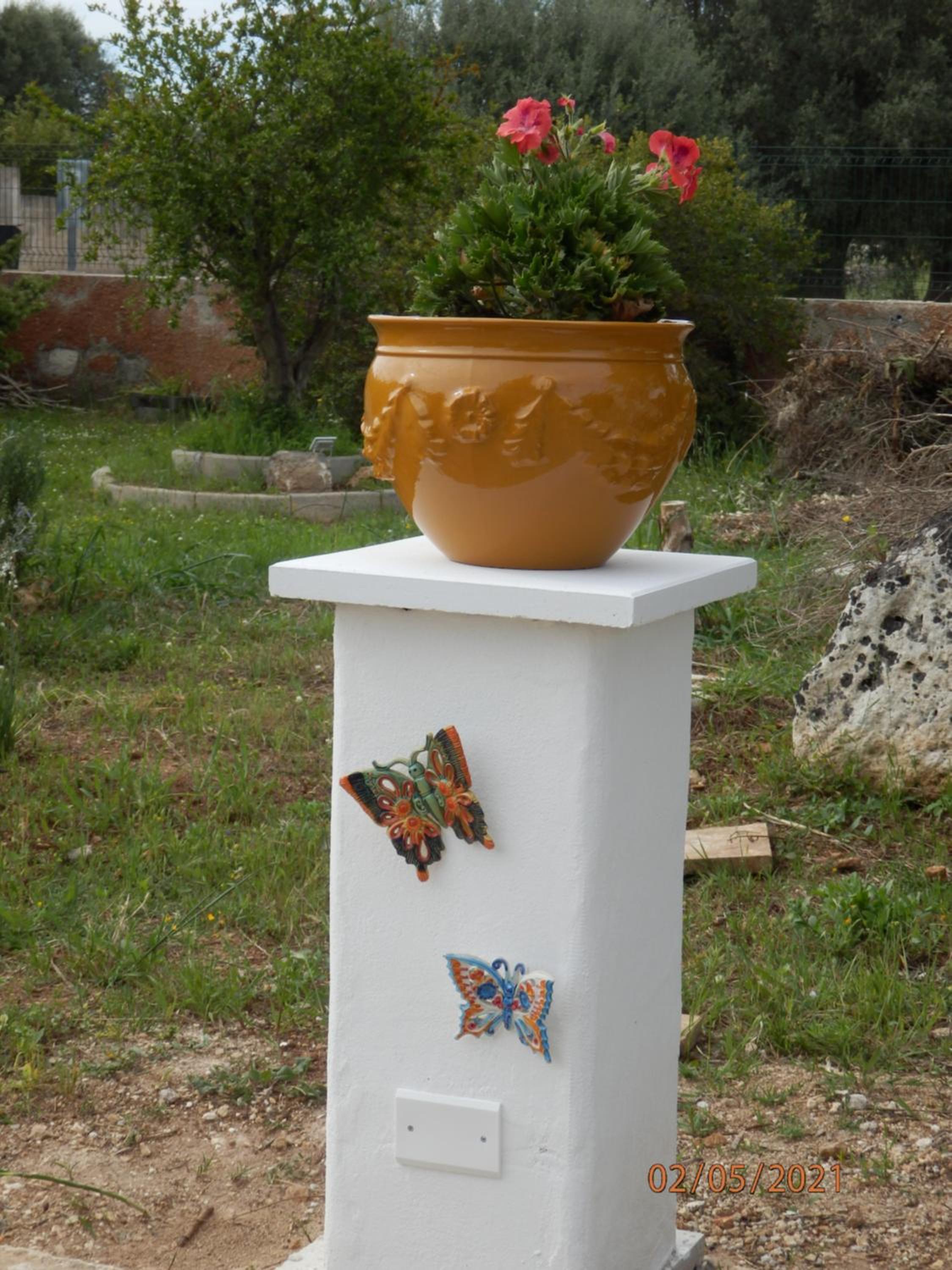 Photo 34