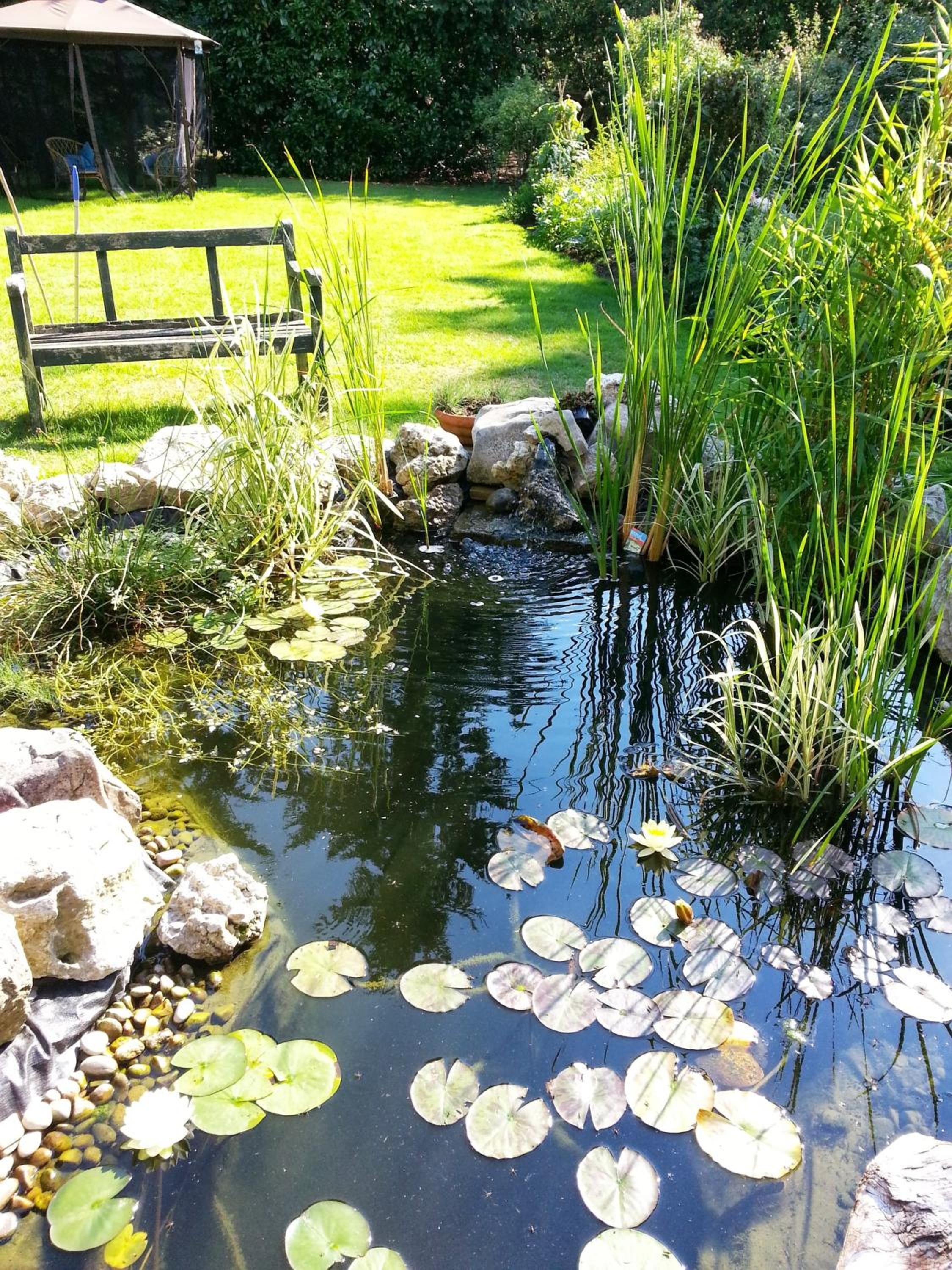Photo 13