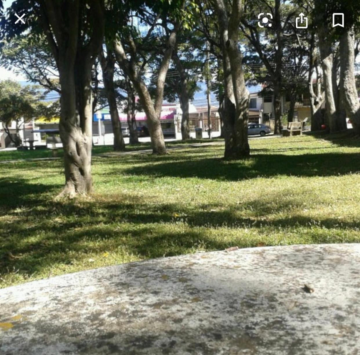Llamas del Bosque