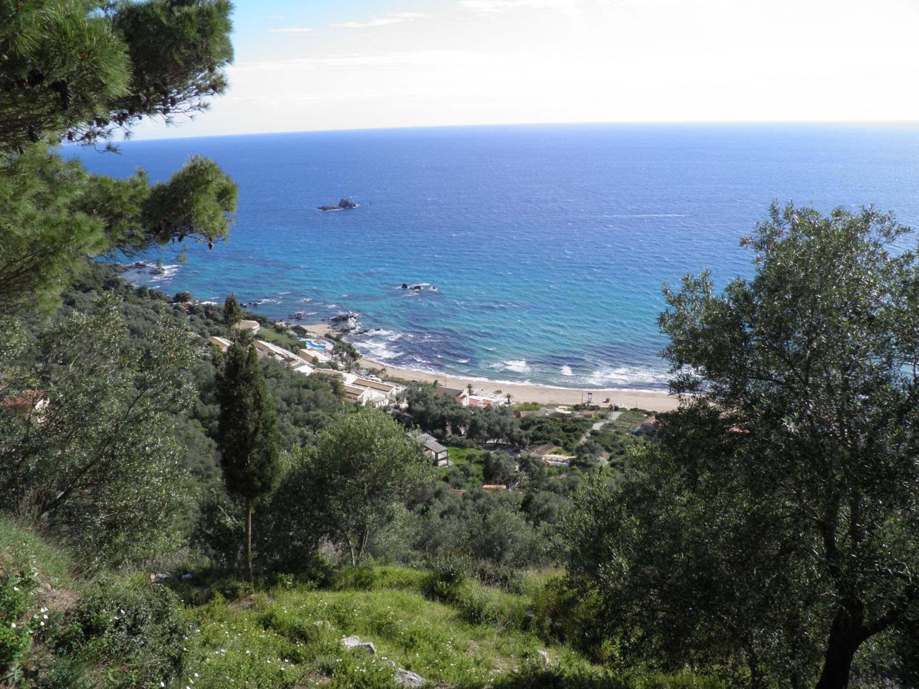 Akis Apartments Kontogialos-Pelekas