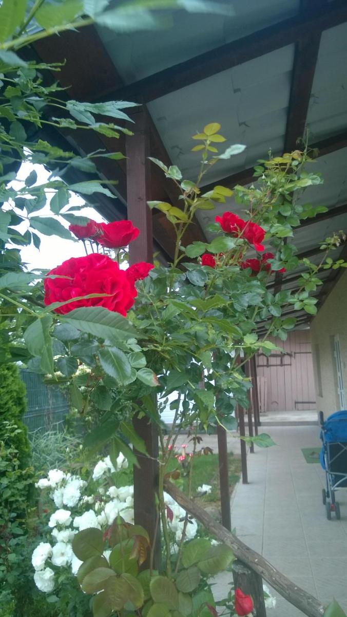 Casa Mamei, photo 15