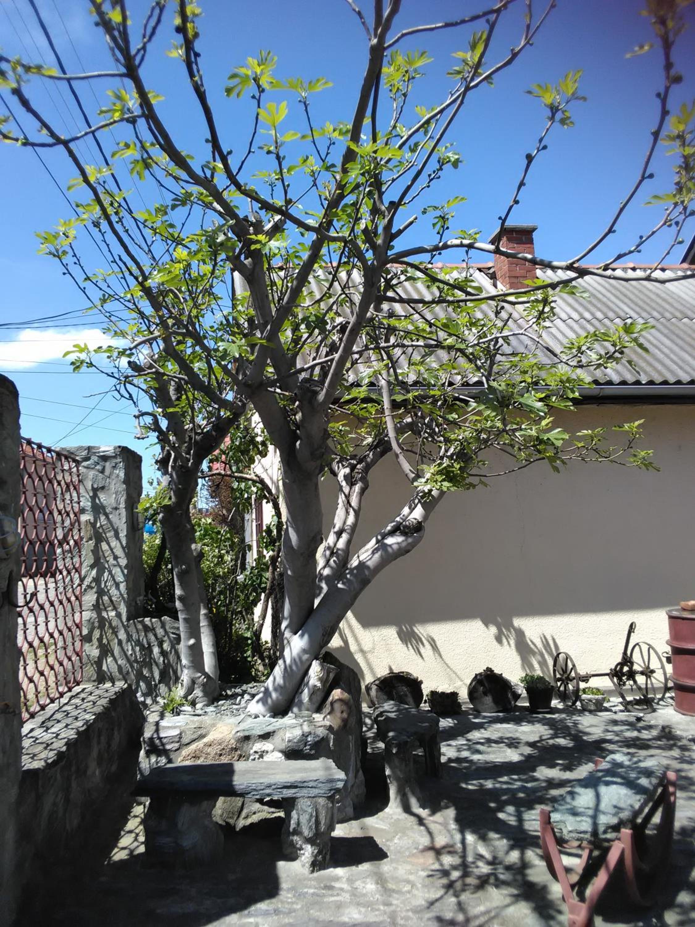 Photo 22