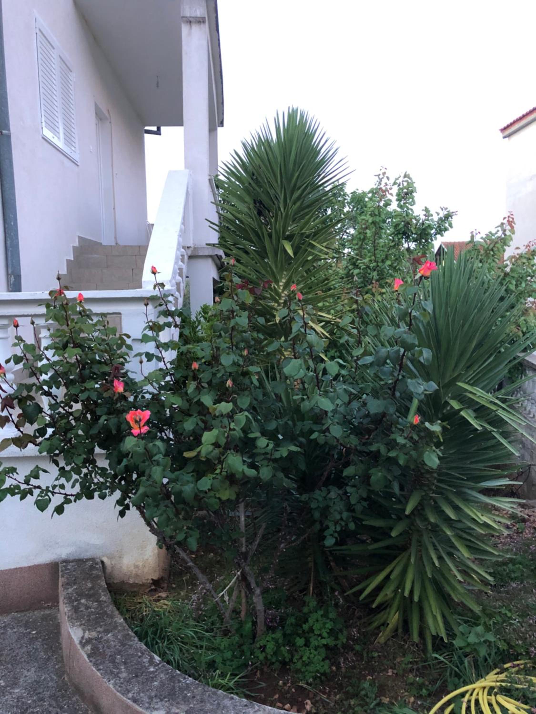 Photo 37