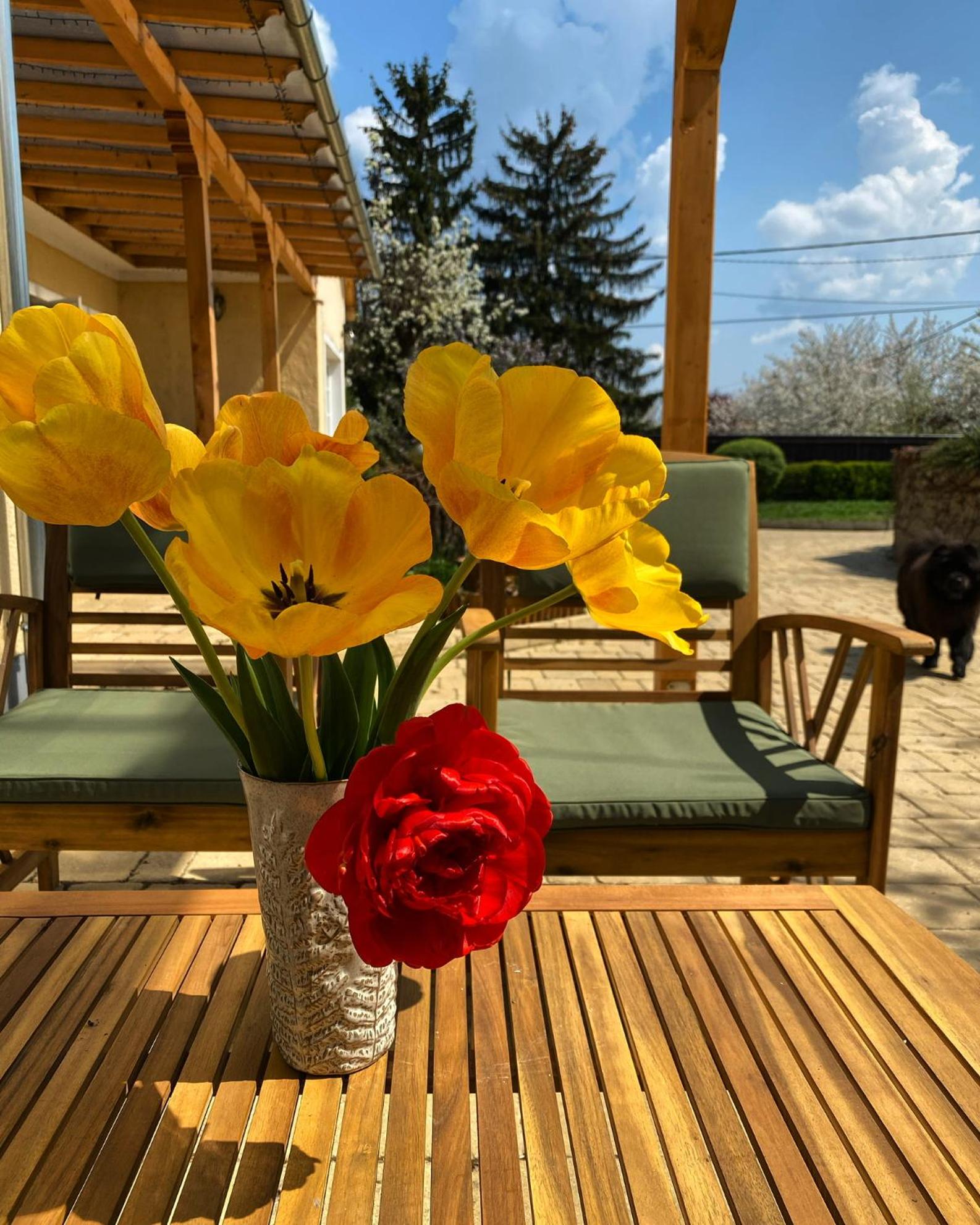 The Nook - Balatonkiliti view 5