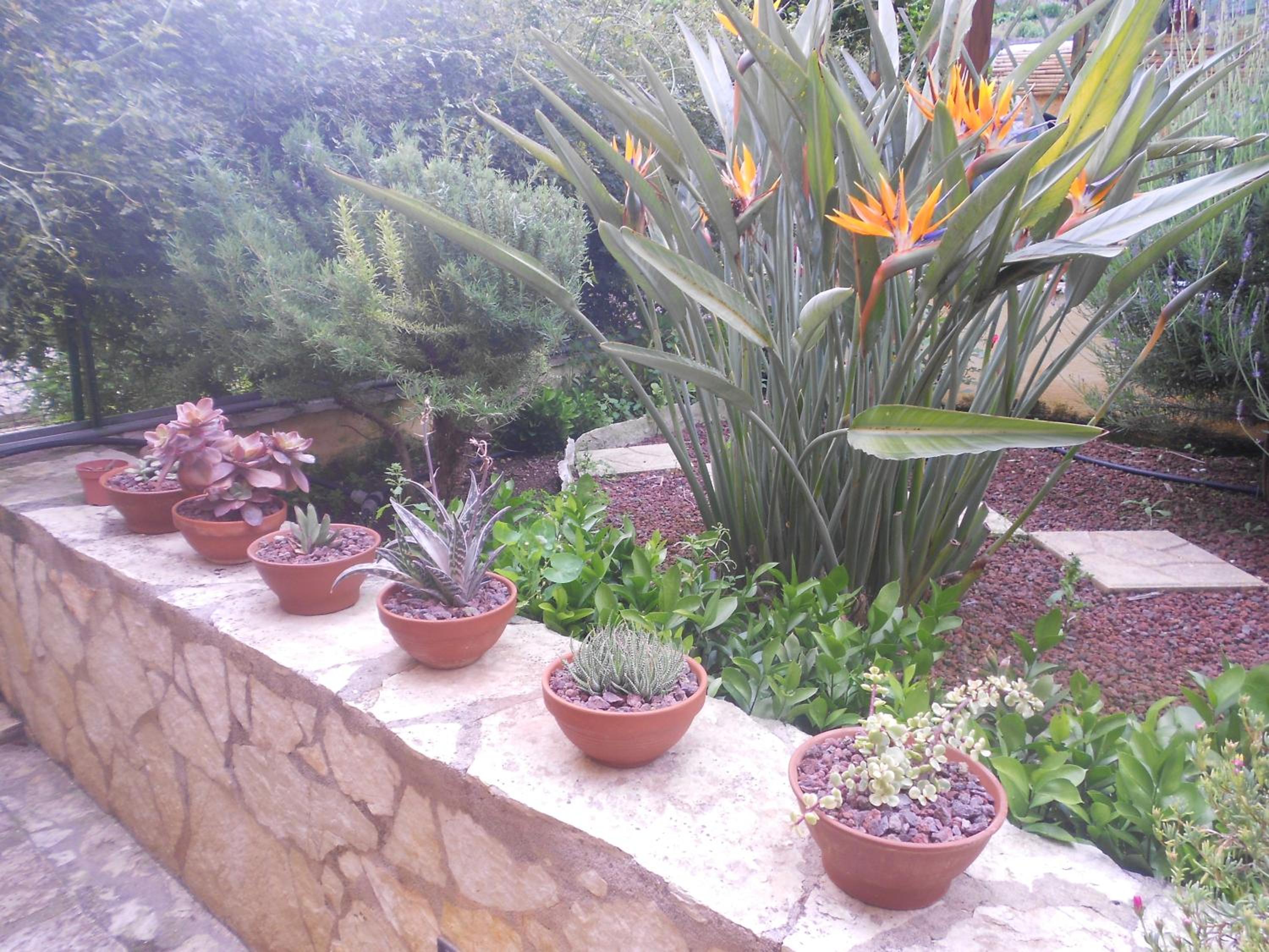 B&B Verdeblu photo 2