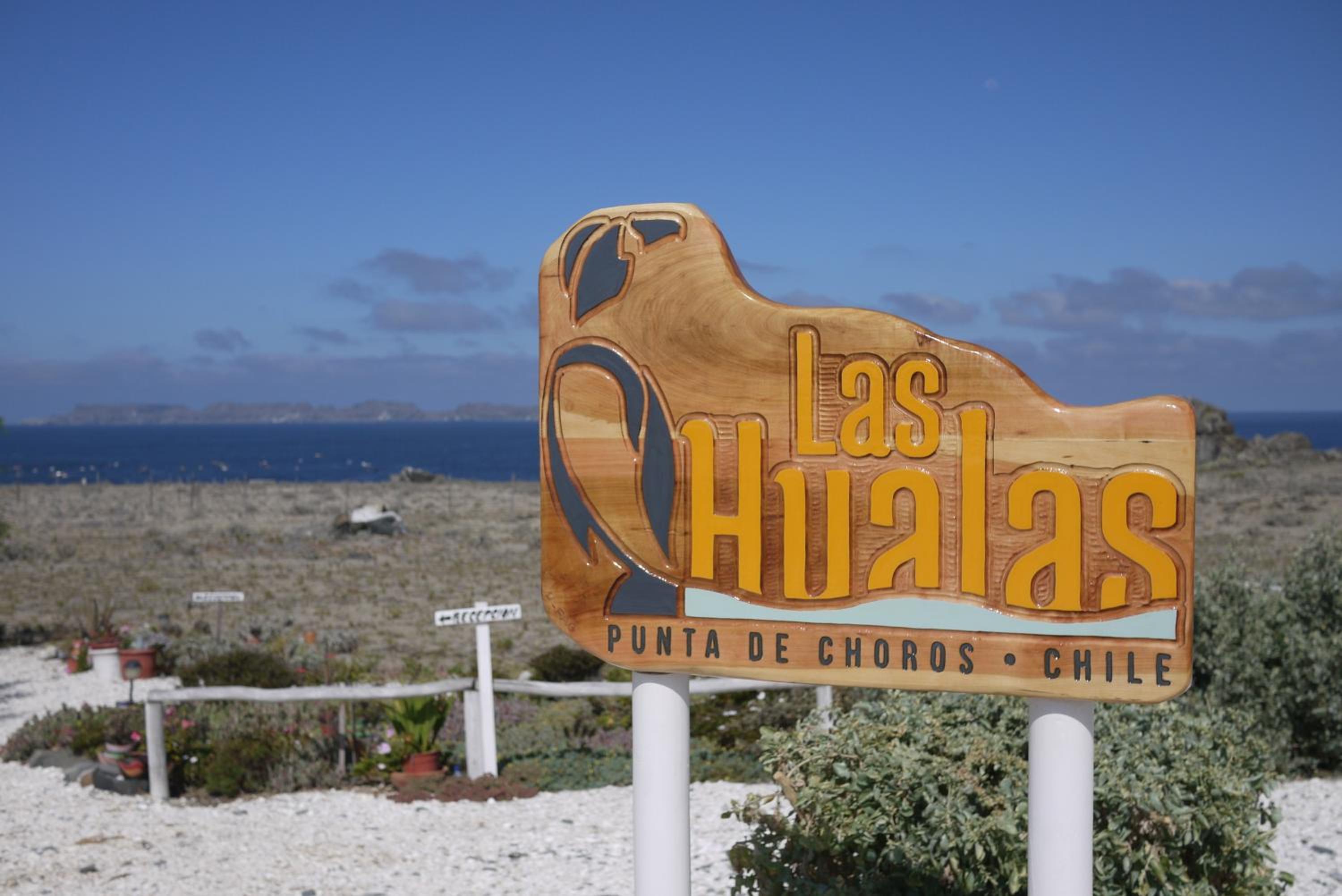 Las Hualas