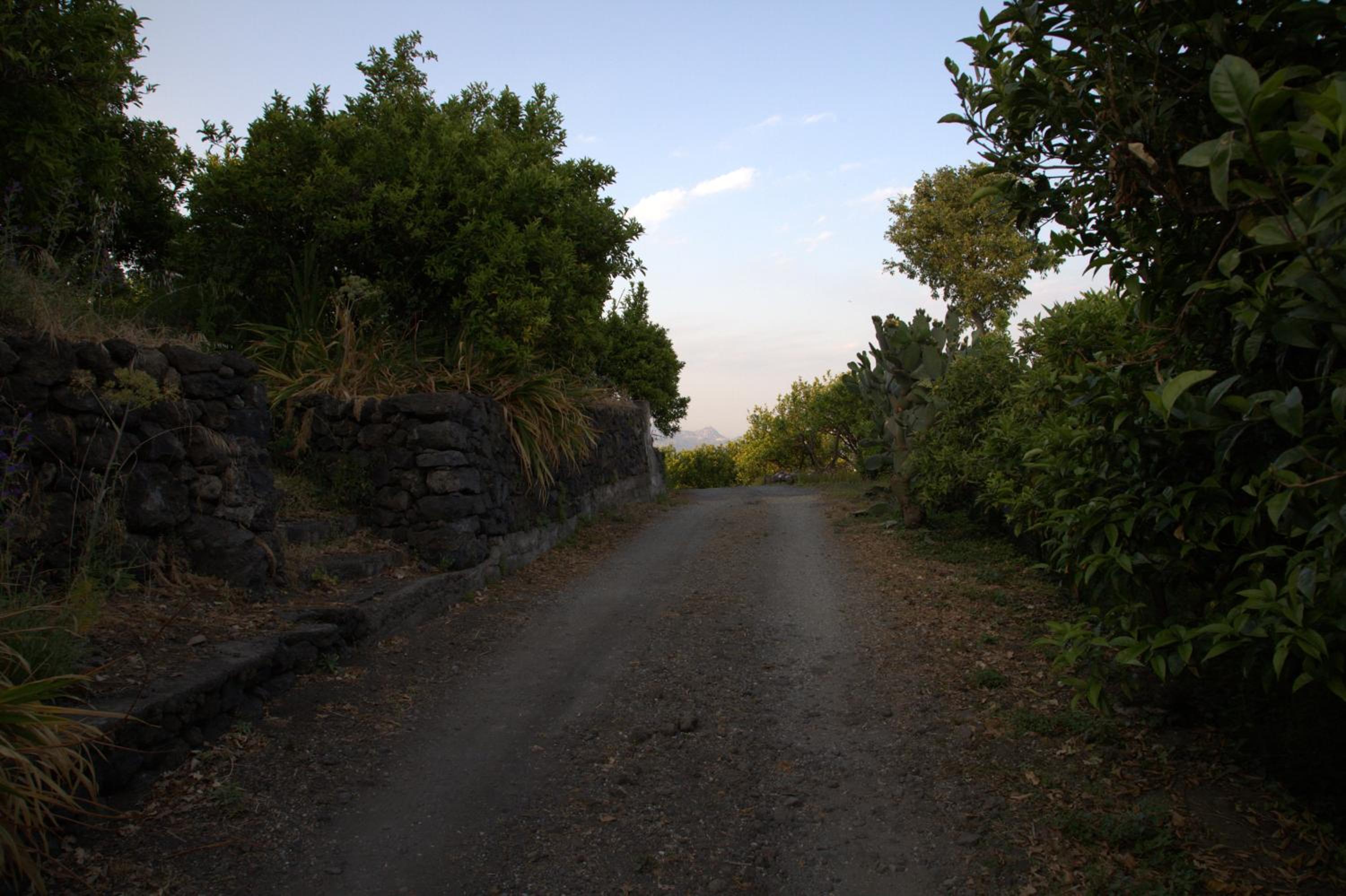 Photo 33