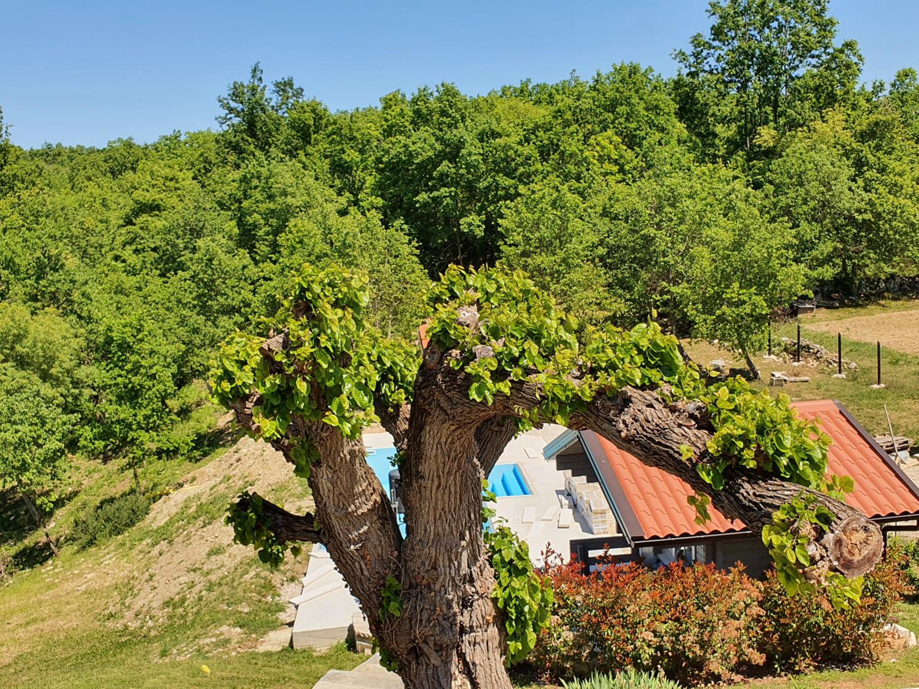 Casa dei Boscarini view 5