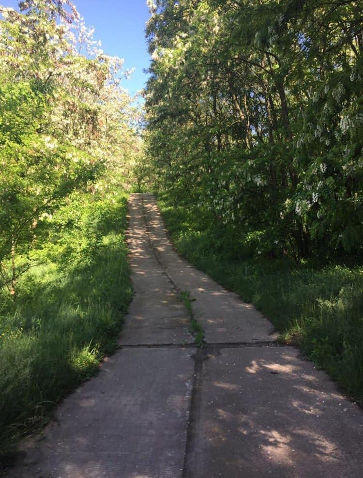 Photo 36