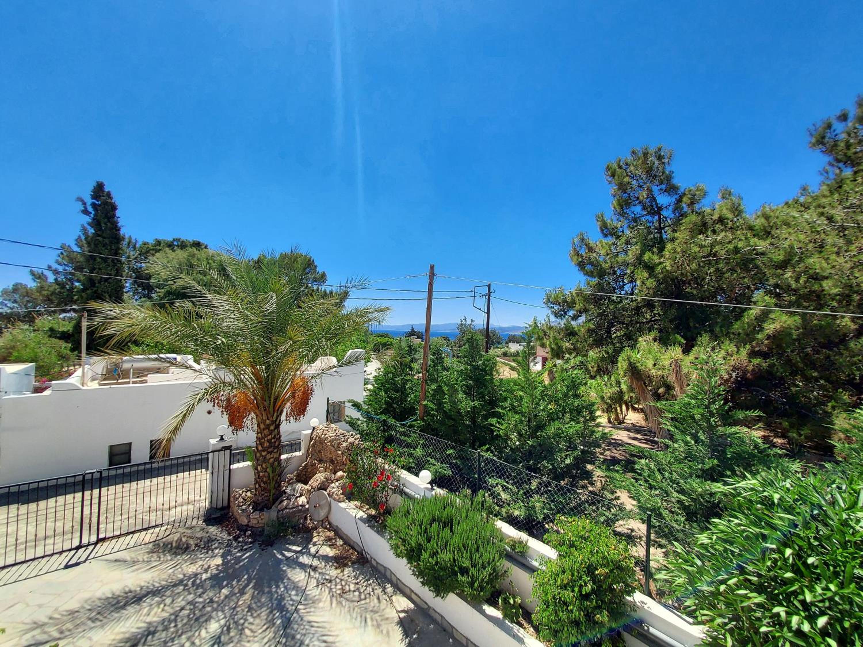 Courtyard Studios photo 4