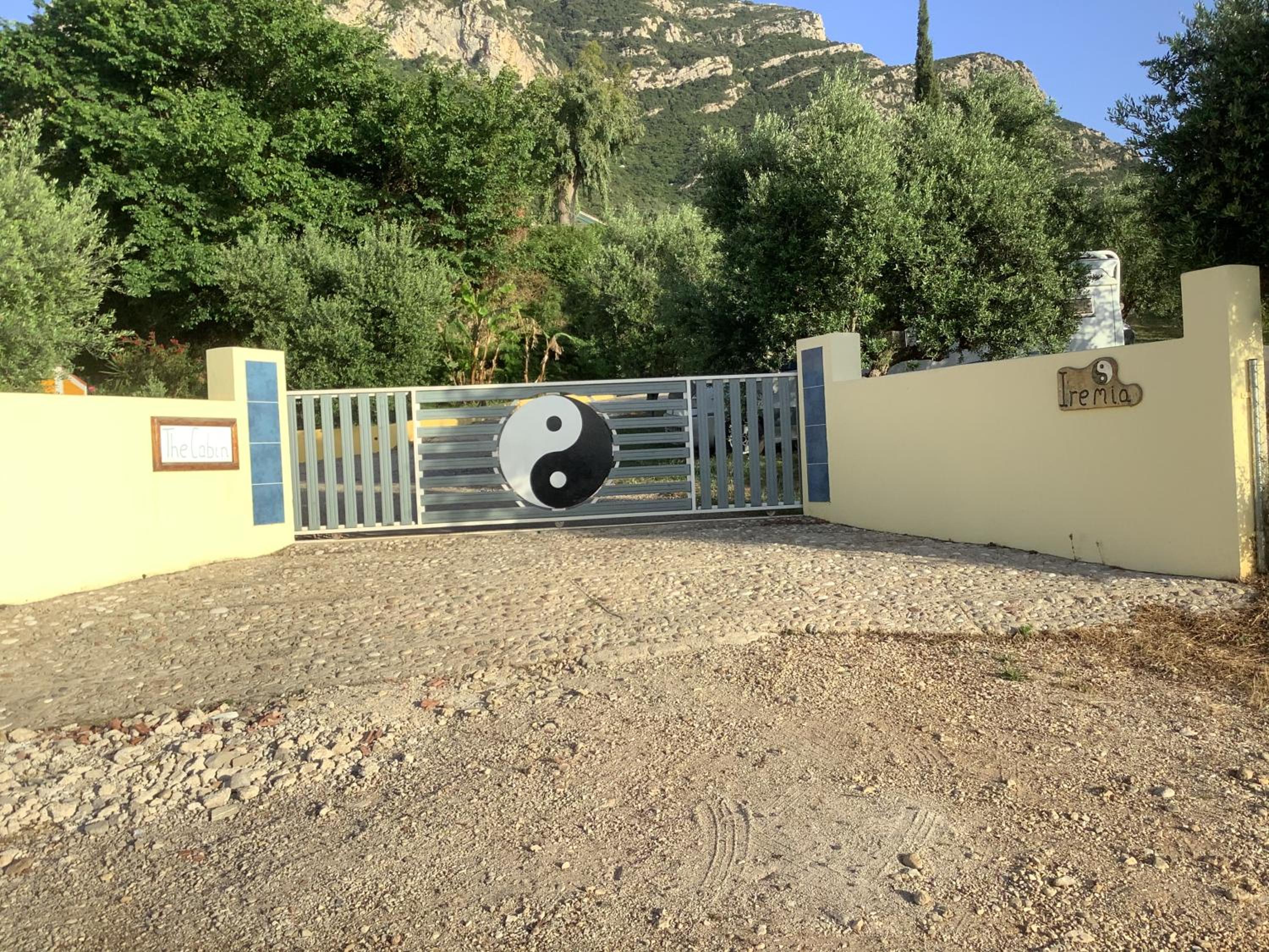 Photo 11