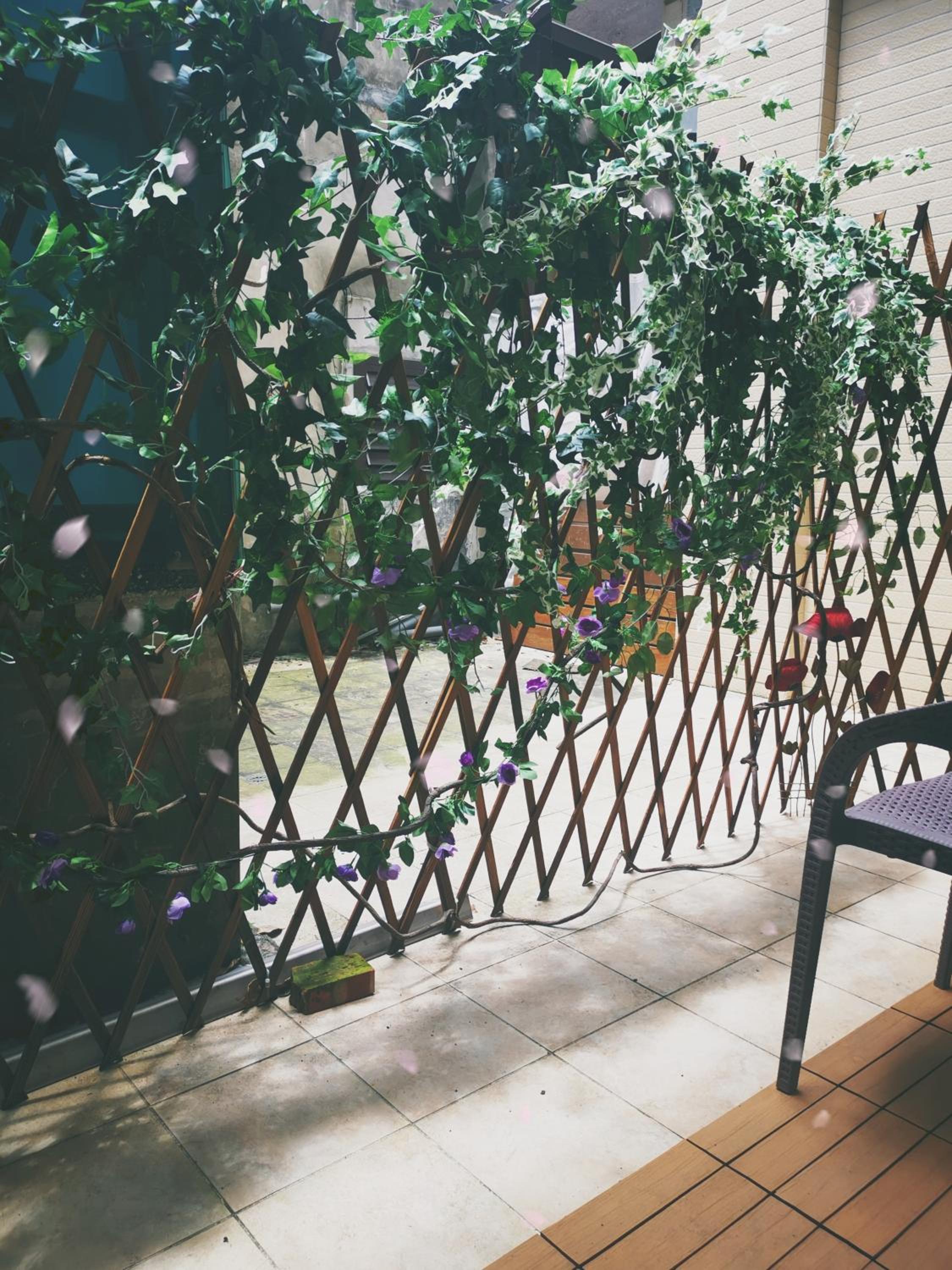 Lucky Star B&B