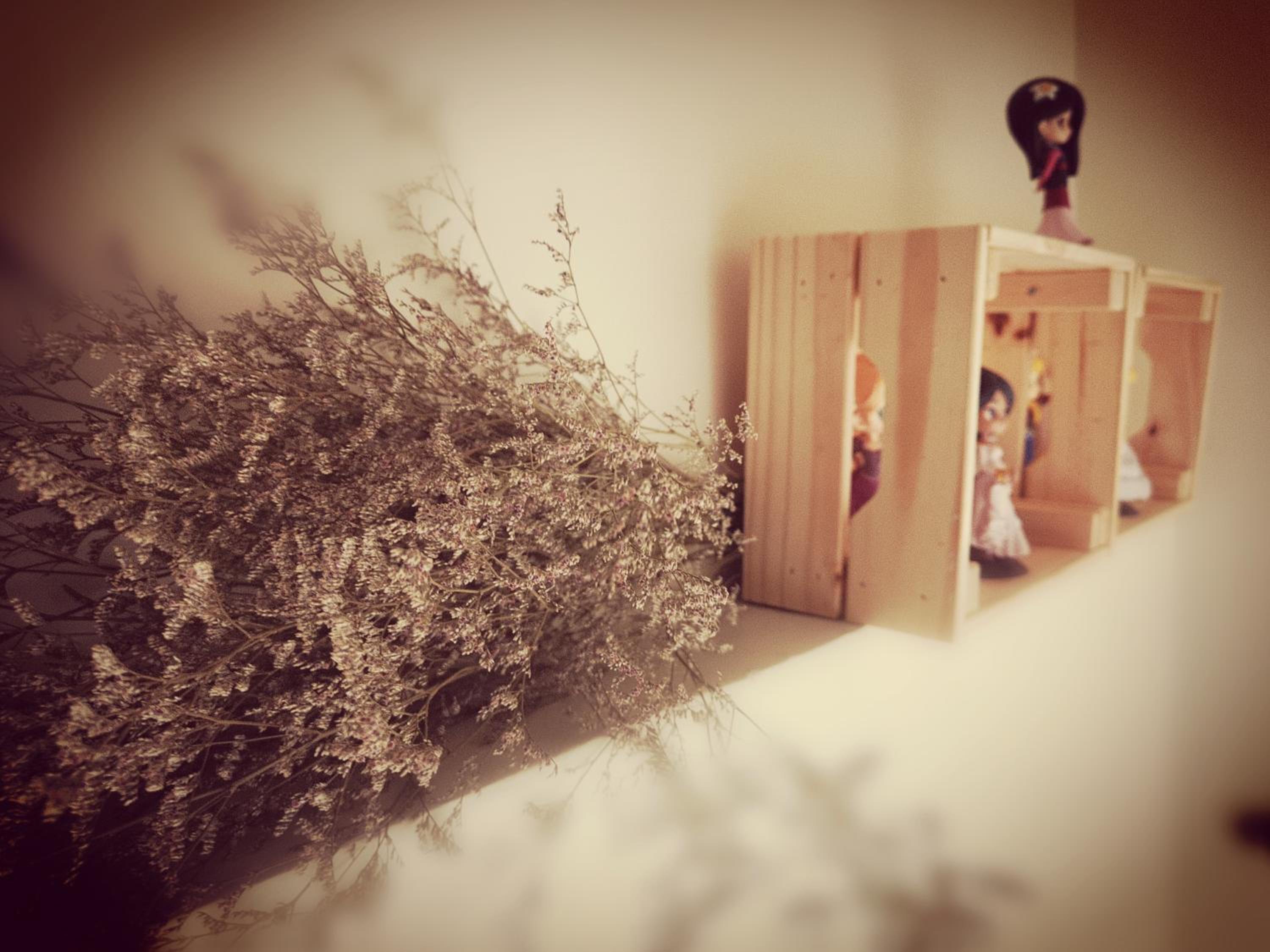 Lucky Star B&B