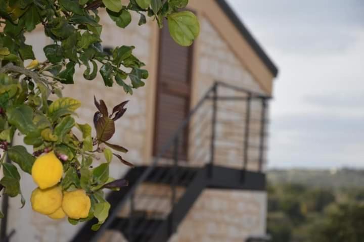 Il Carrubo Holiday House view 4