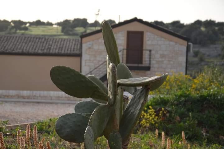 Il Carrubo Holiday House view 2