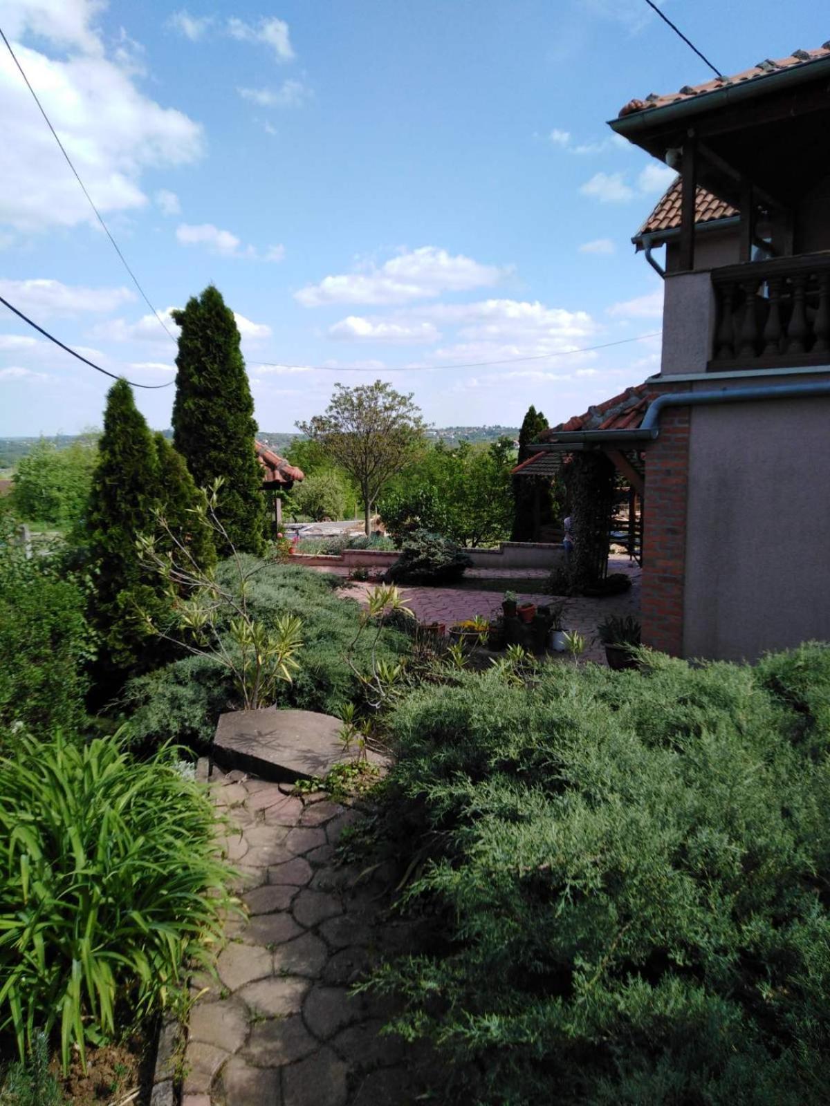 Photo 43