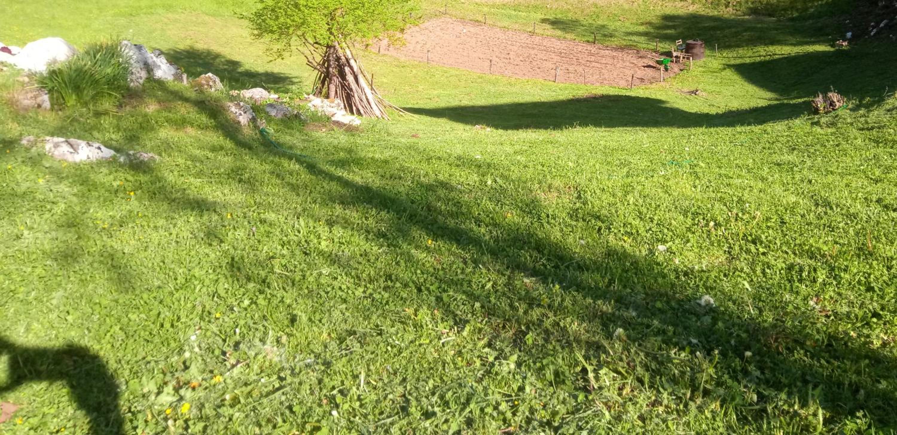 Photo 29
