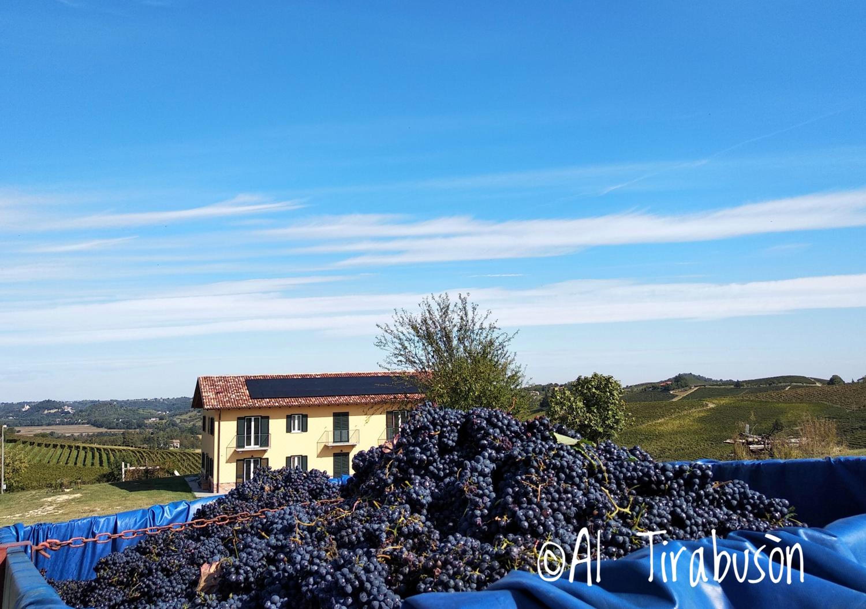 Al Tirabusòn Country House, 사진 23