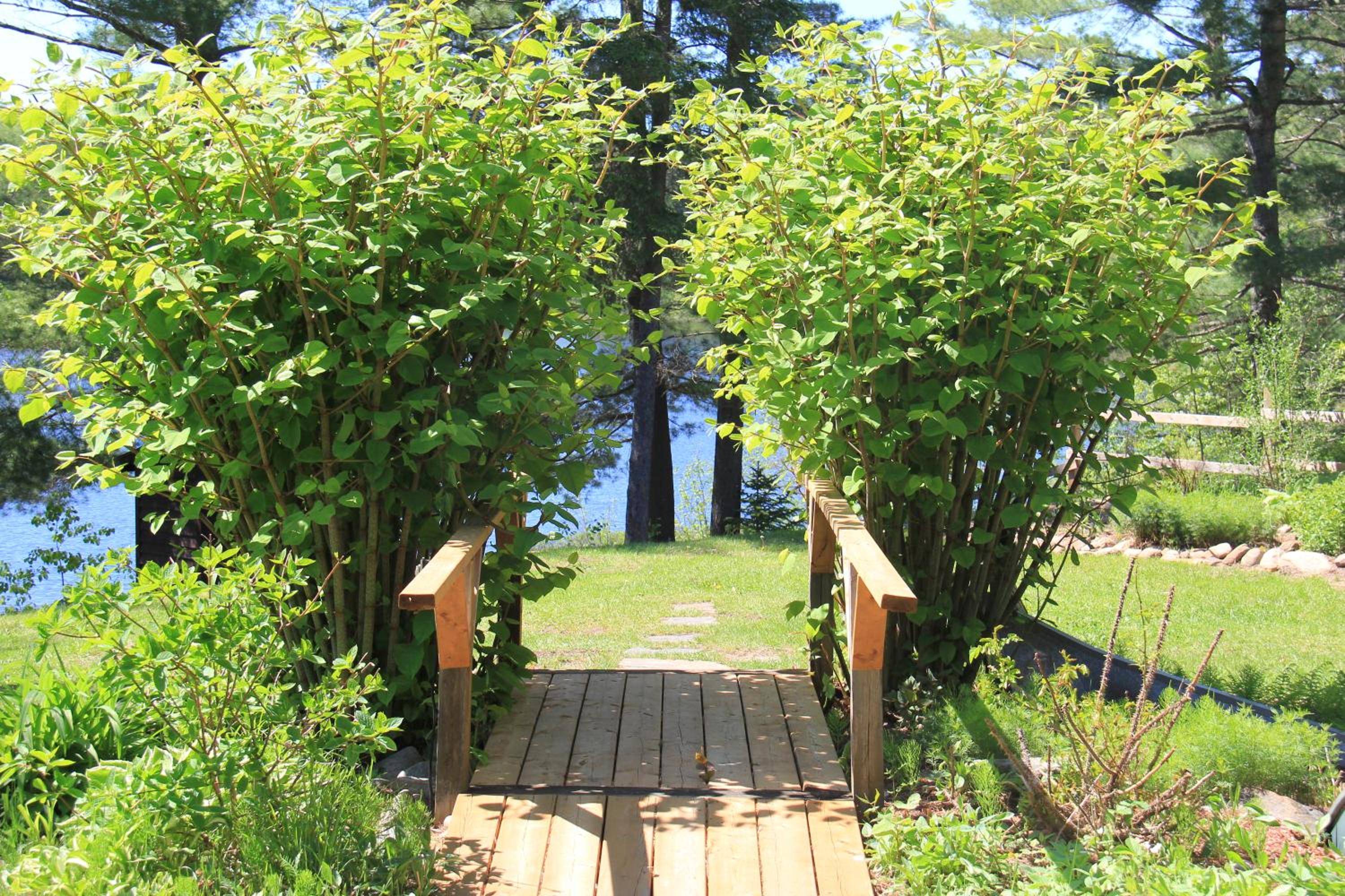 Spring Lake Resort