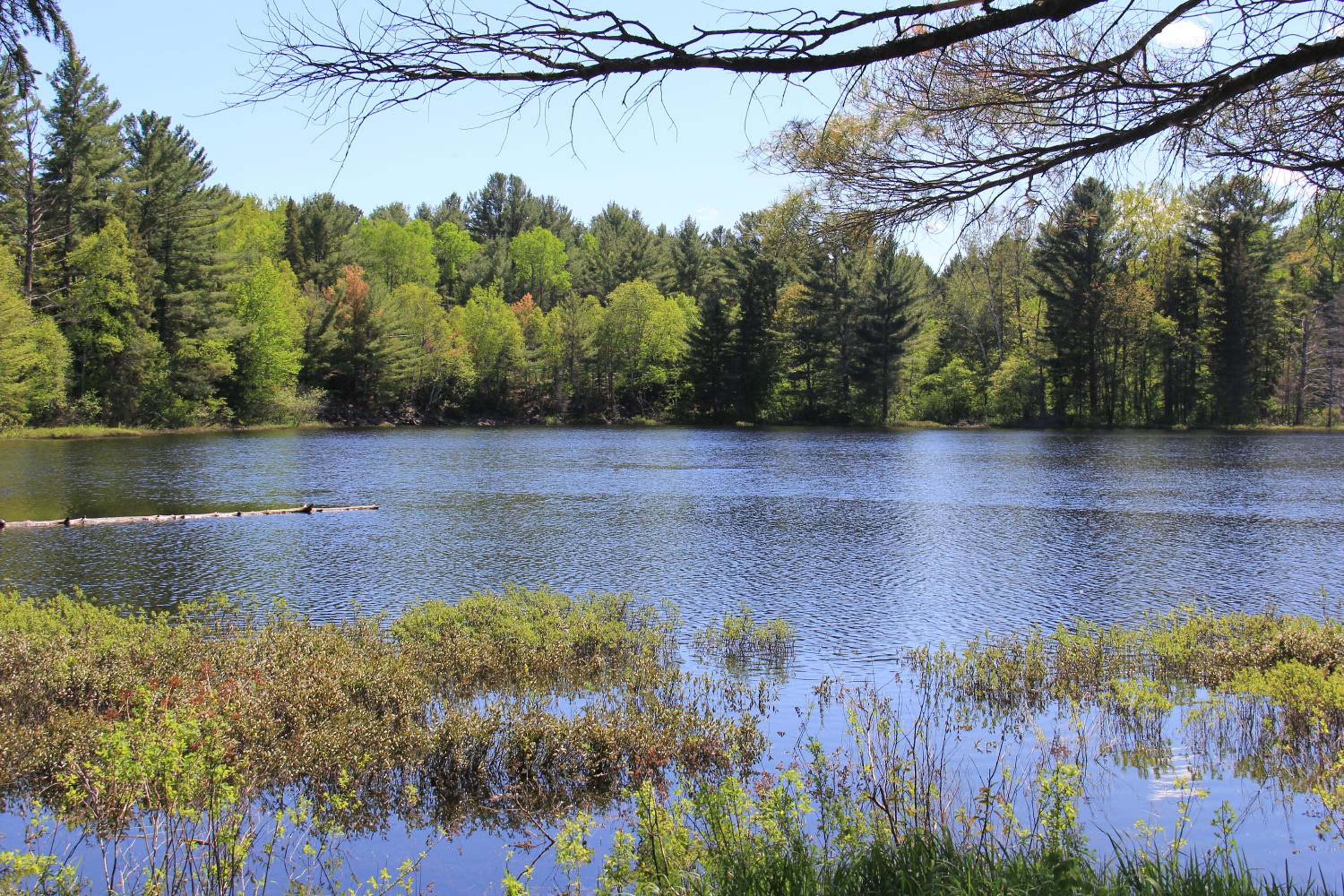Spring Lake Resort