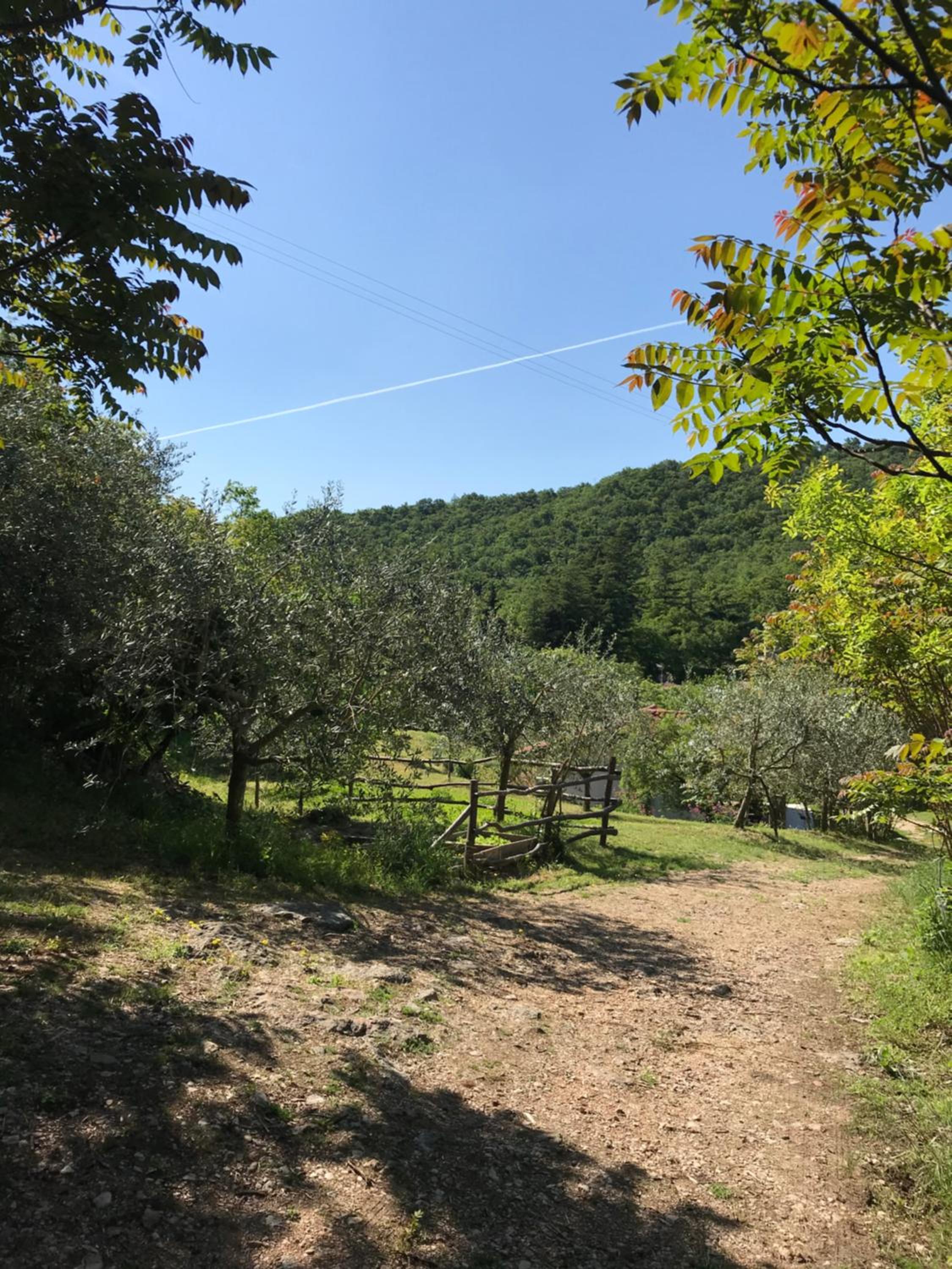 La Casa di Franco view 5