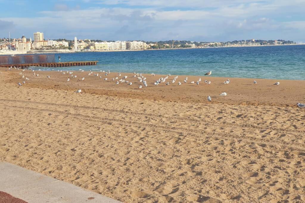 T2 climatisé à 5 minutes à pied de la plage avec parking, piscine et wifi