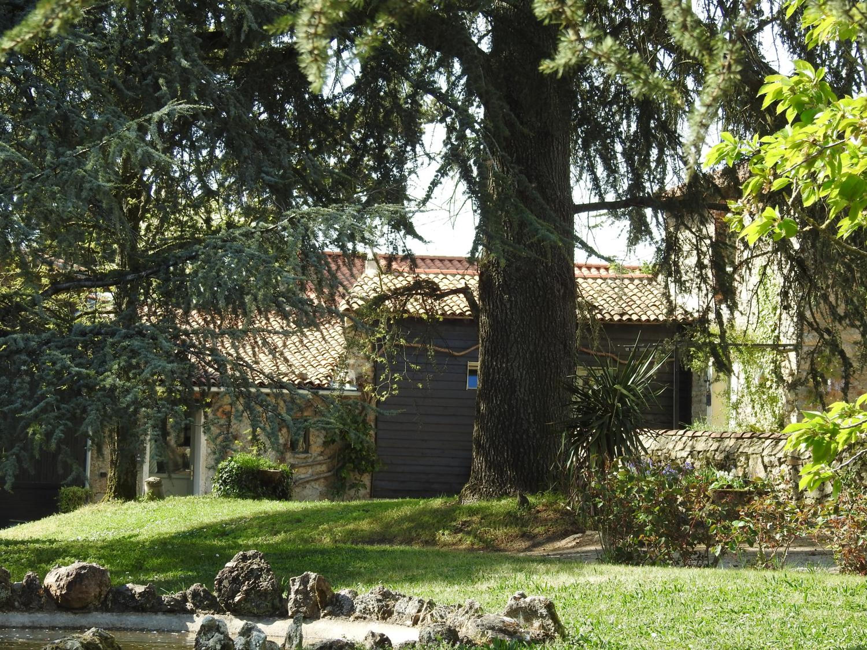 Photo 4